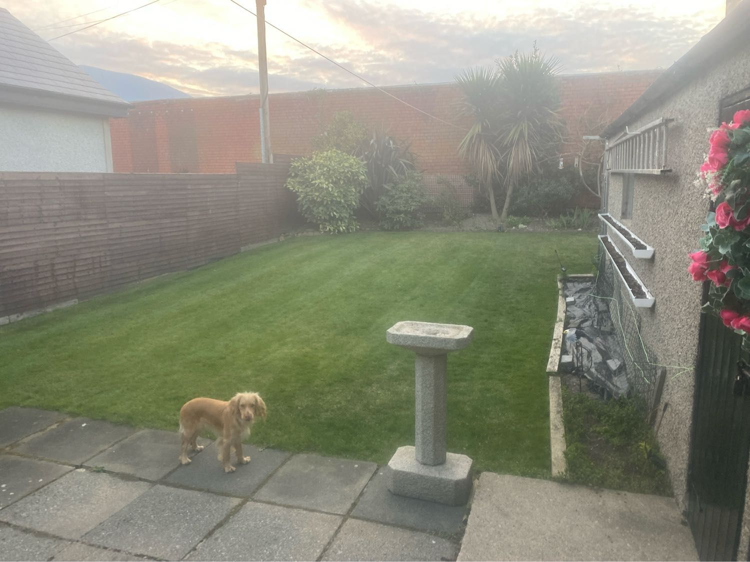 image-10