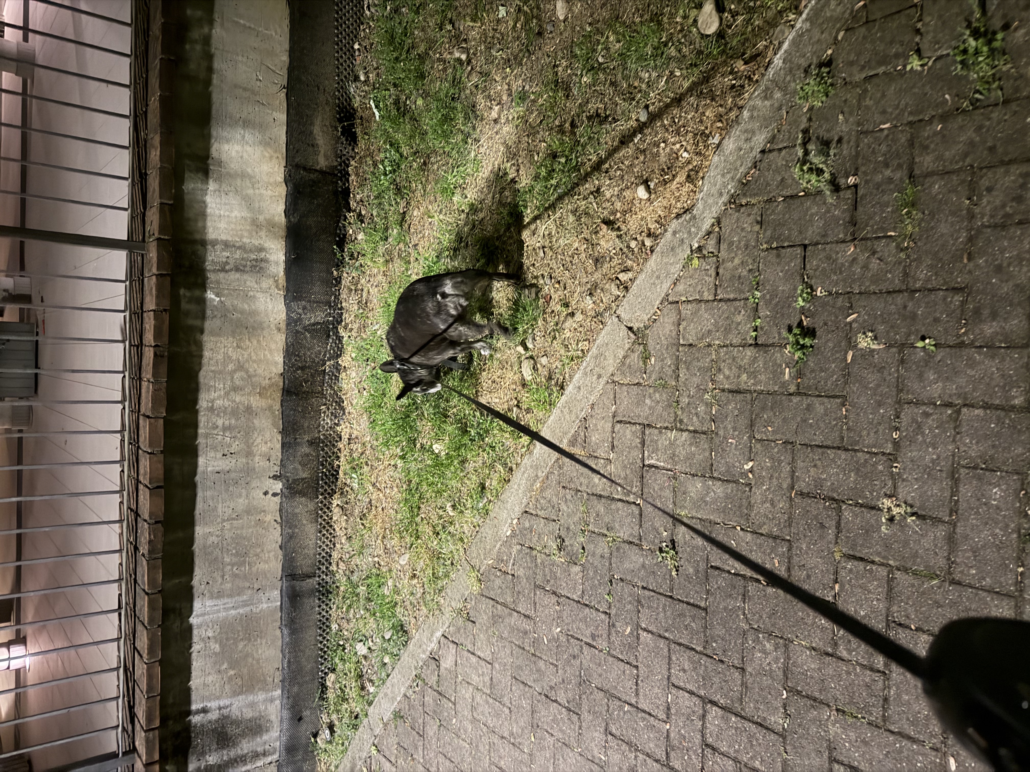 image-16