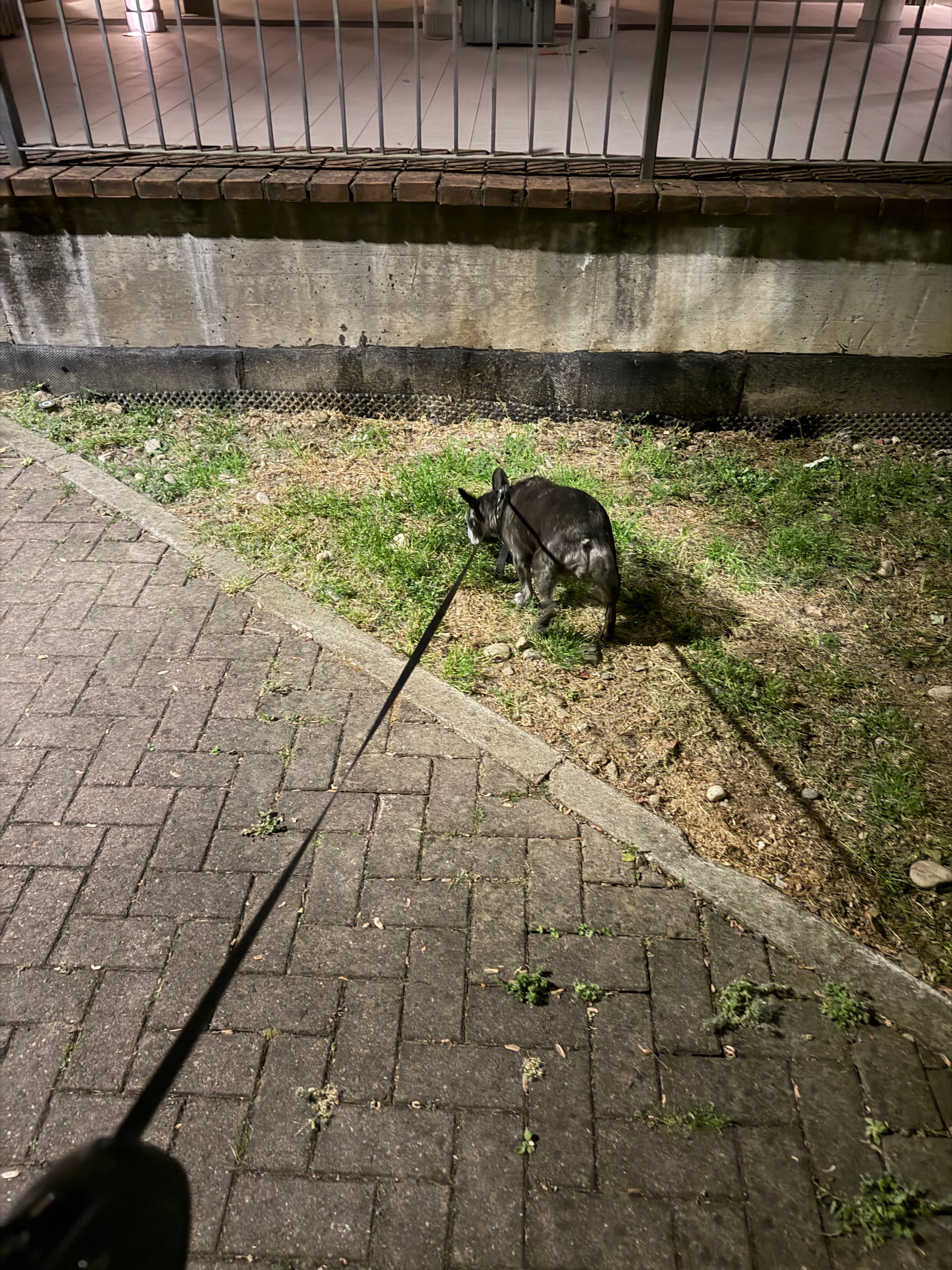 image-16
