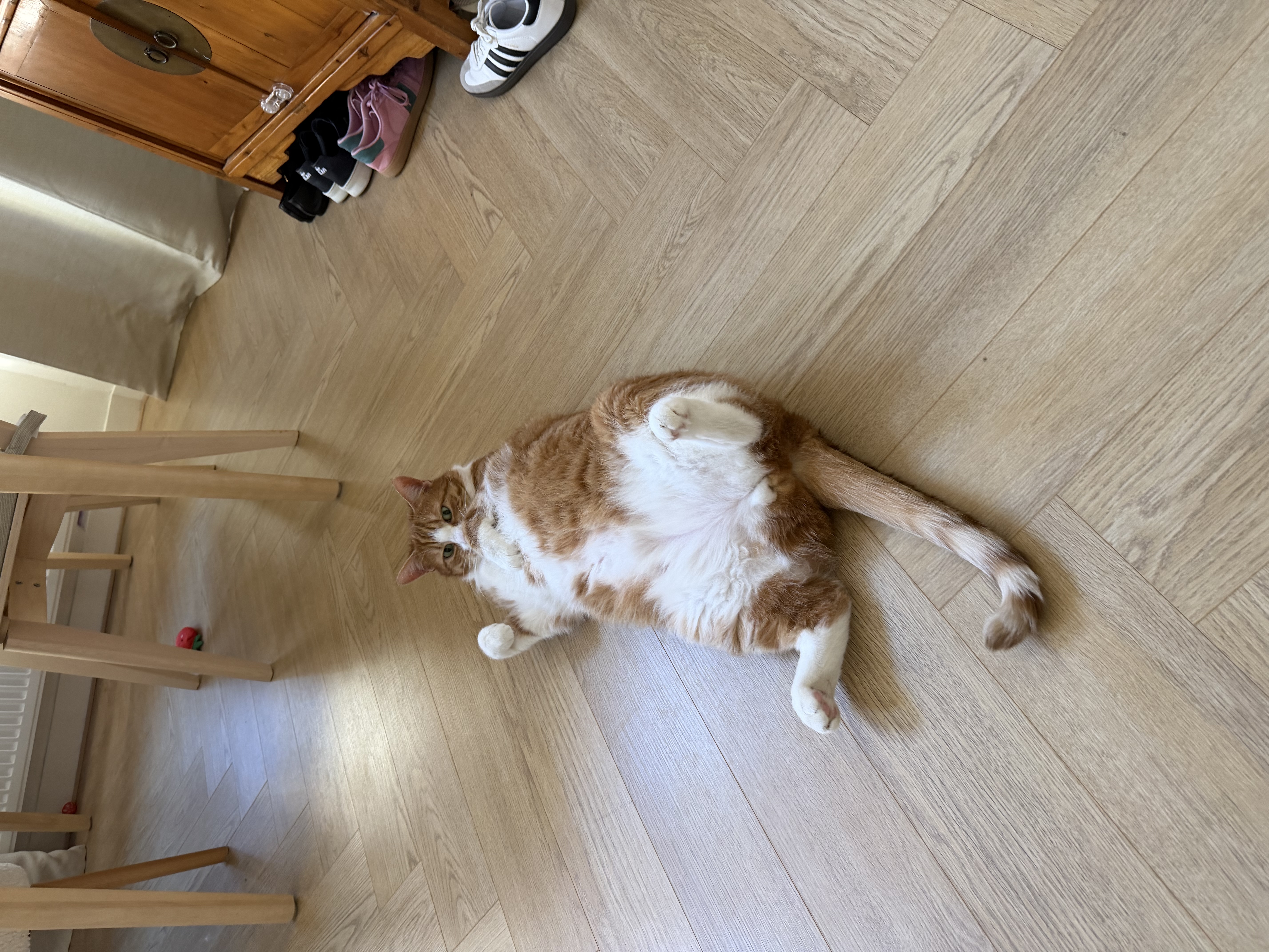 image-13
