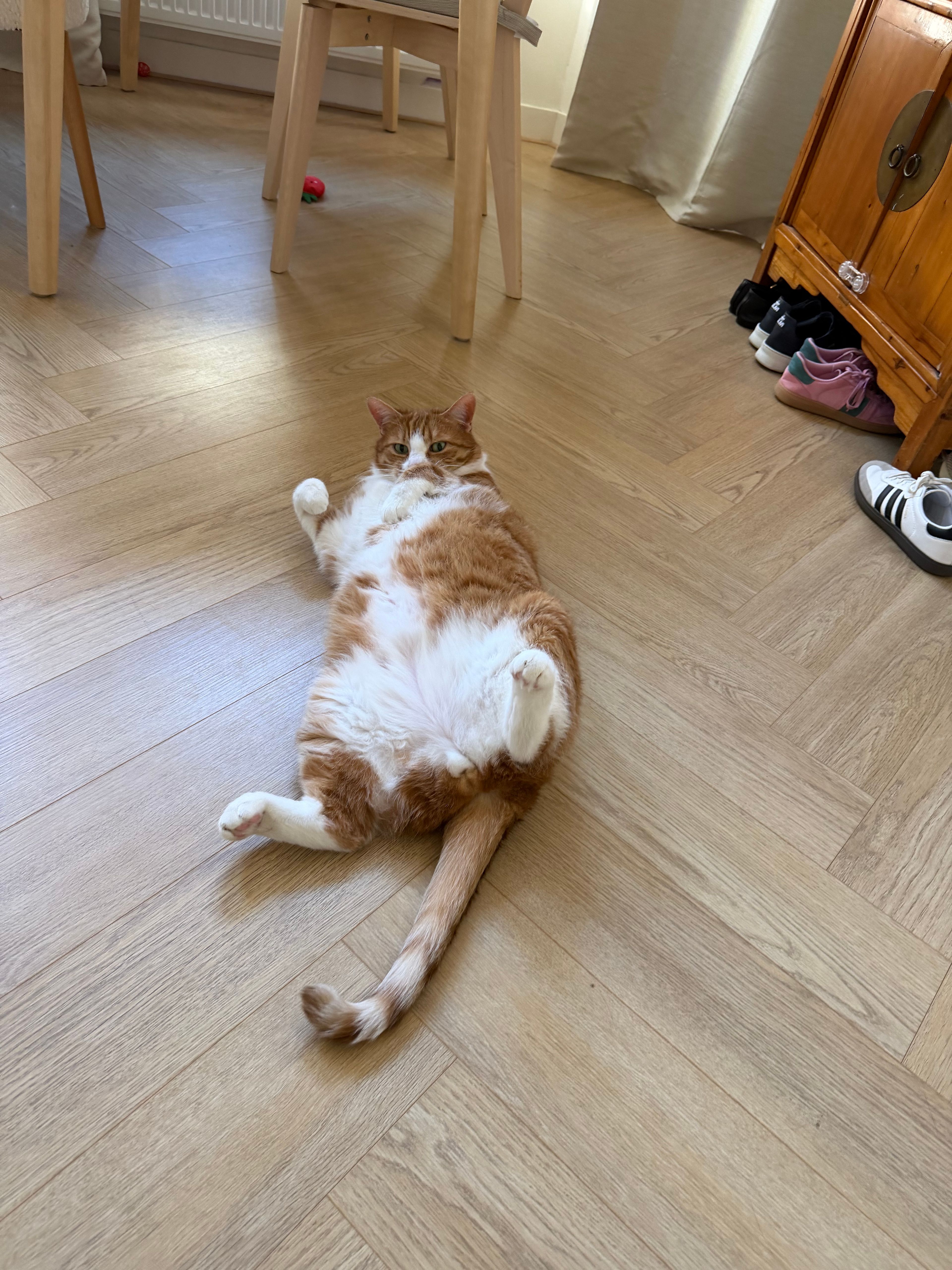 image-13