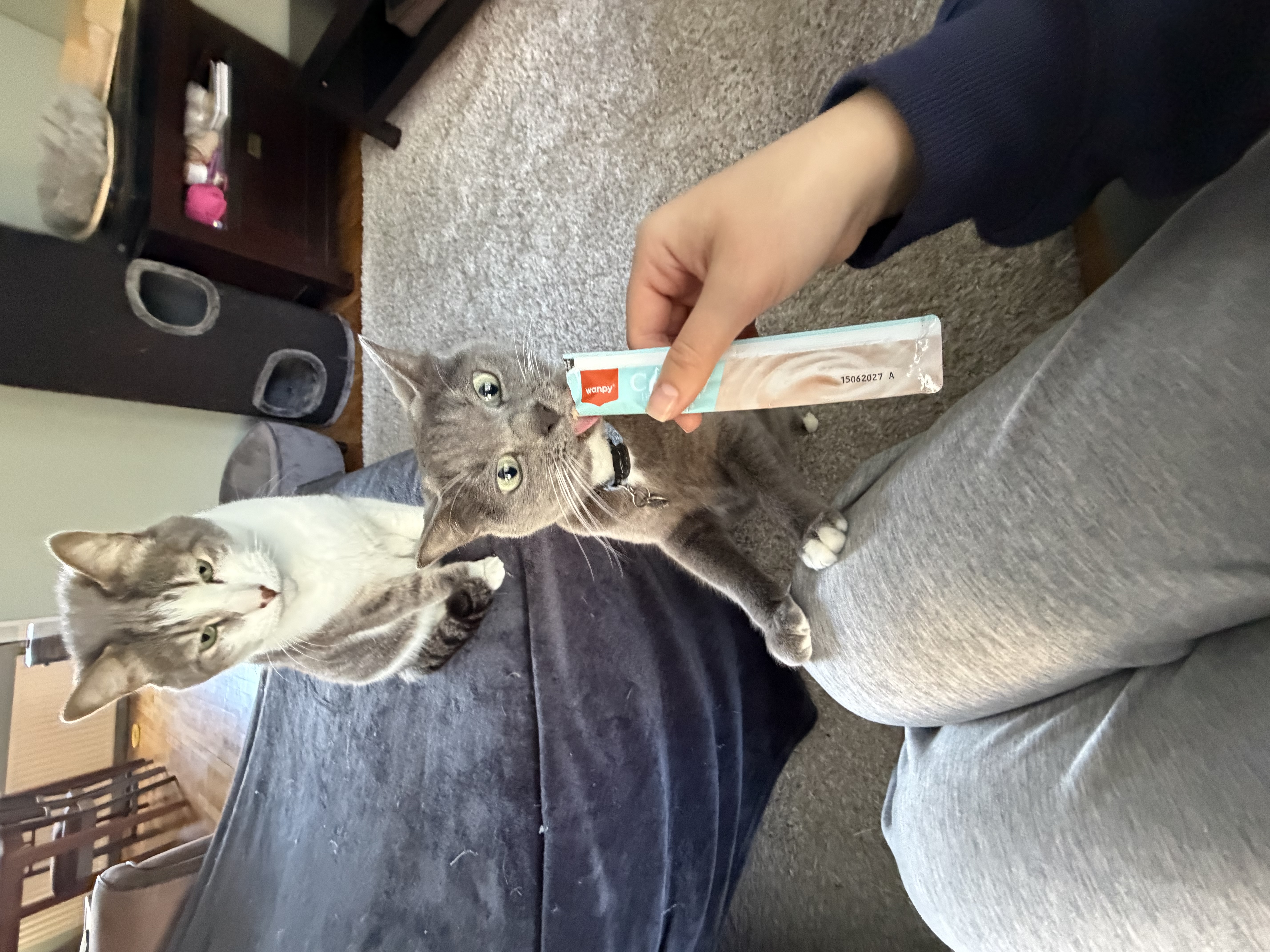 image-16