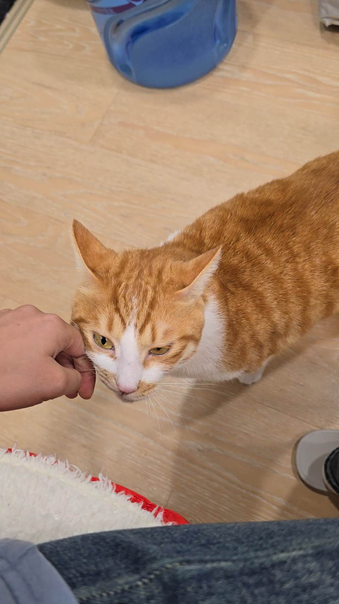 image-6