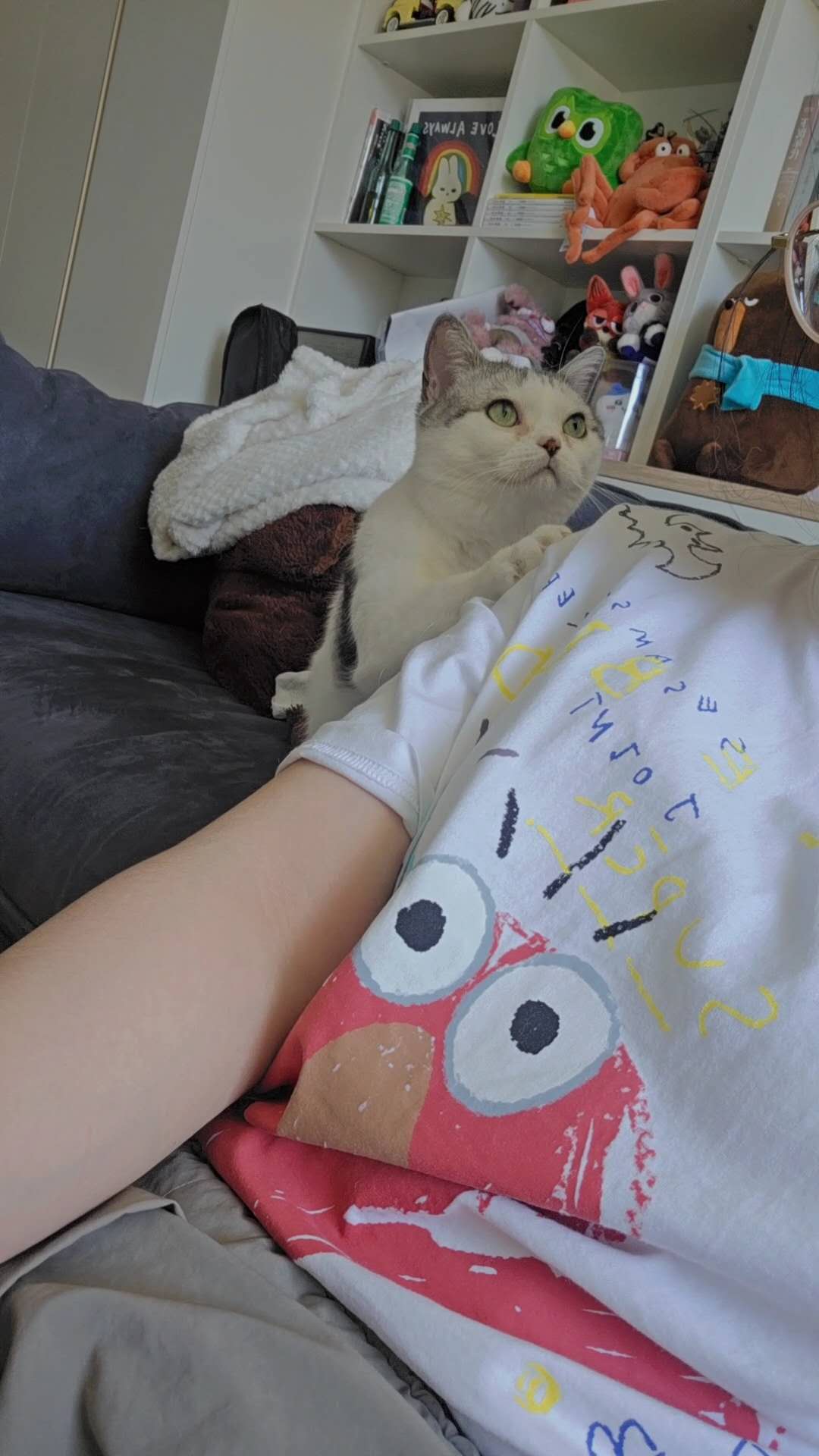 image-7