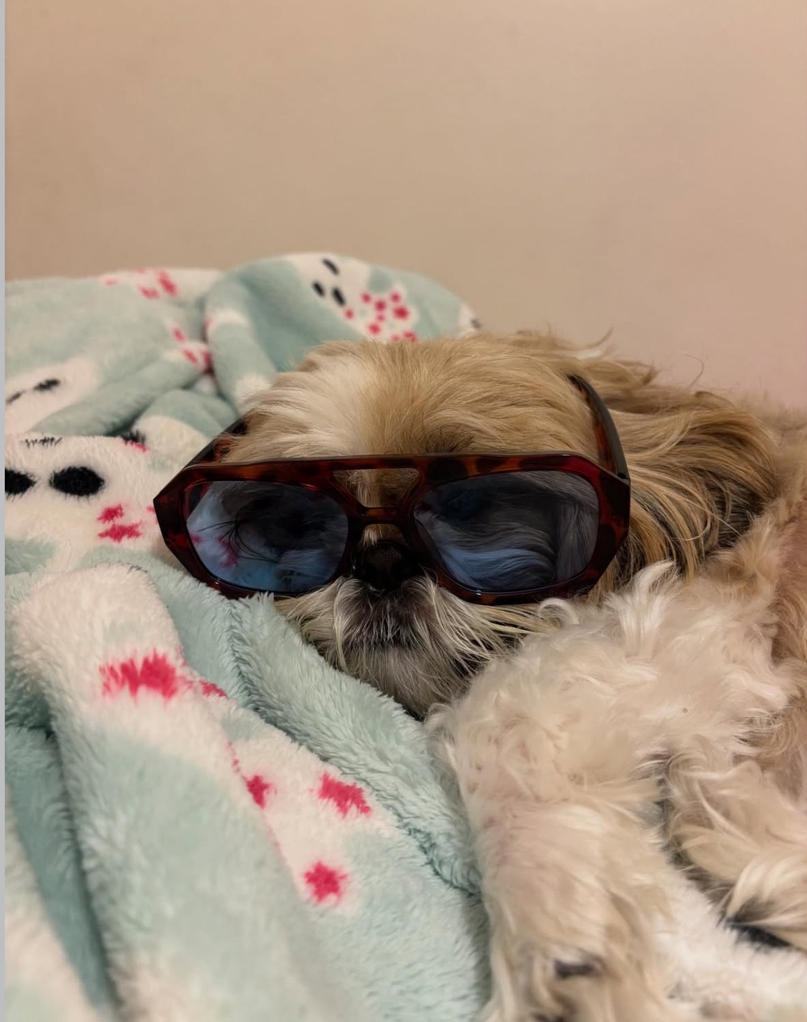 image-20