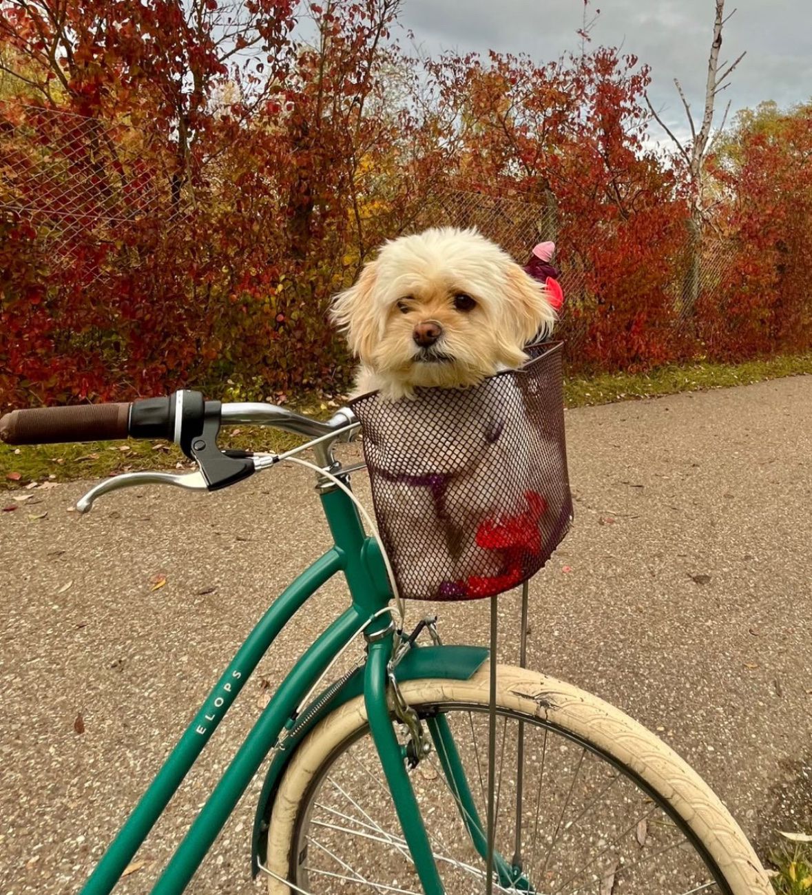 image-0