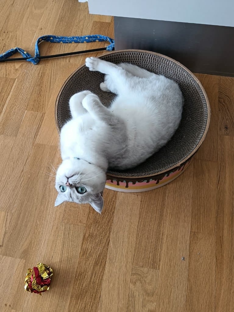 image-9