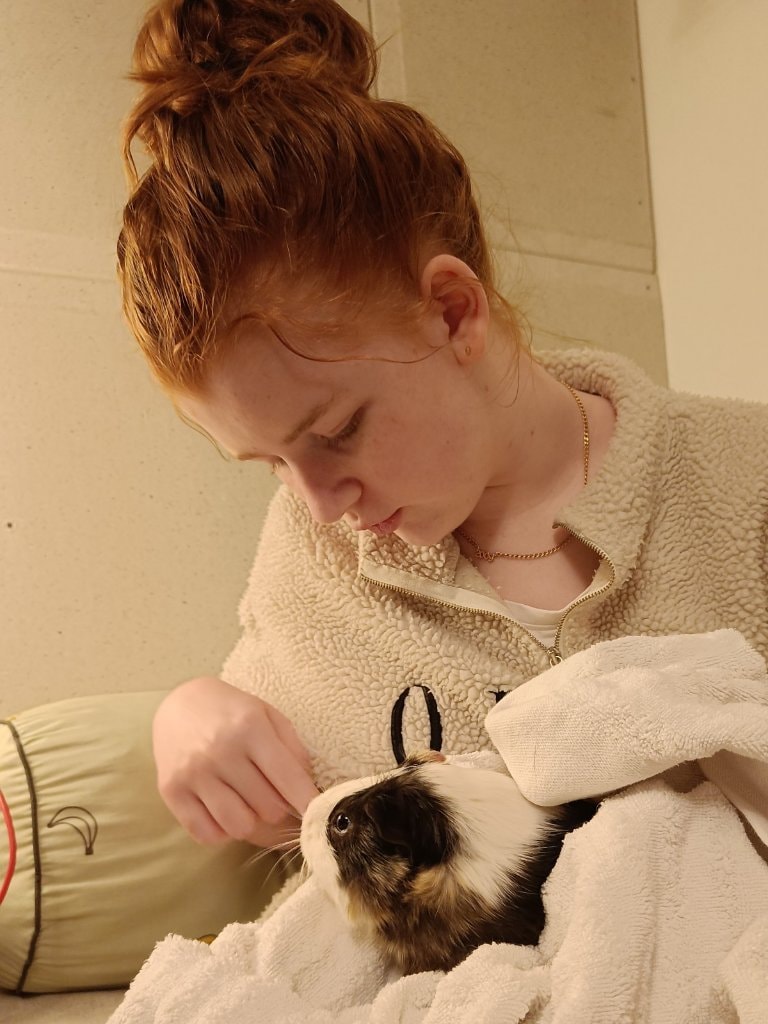 image-11