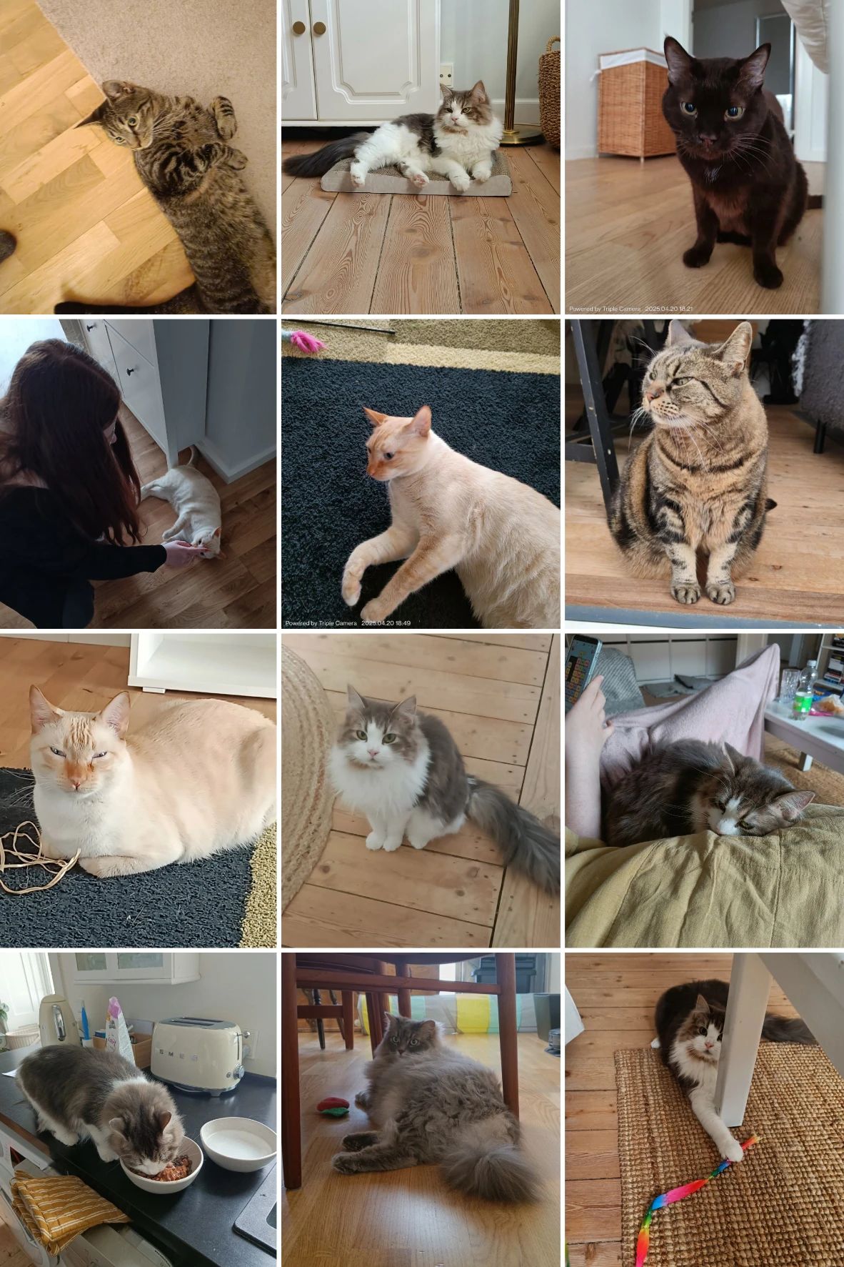 image-16