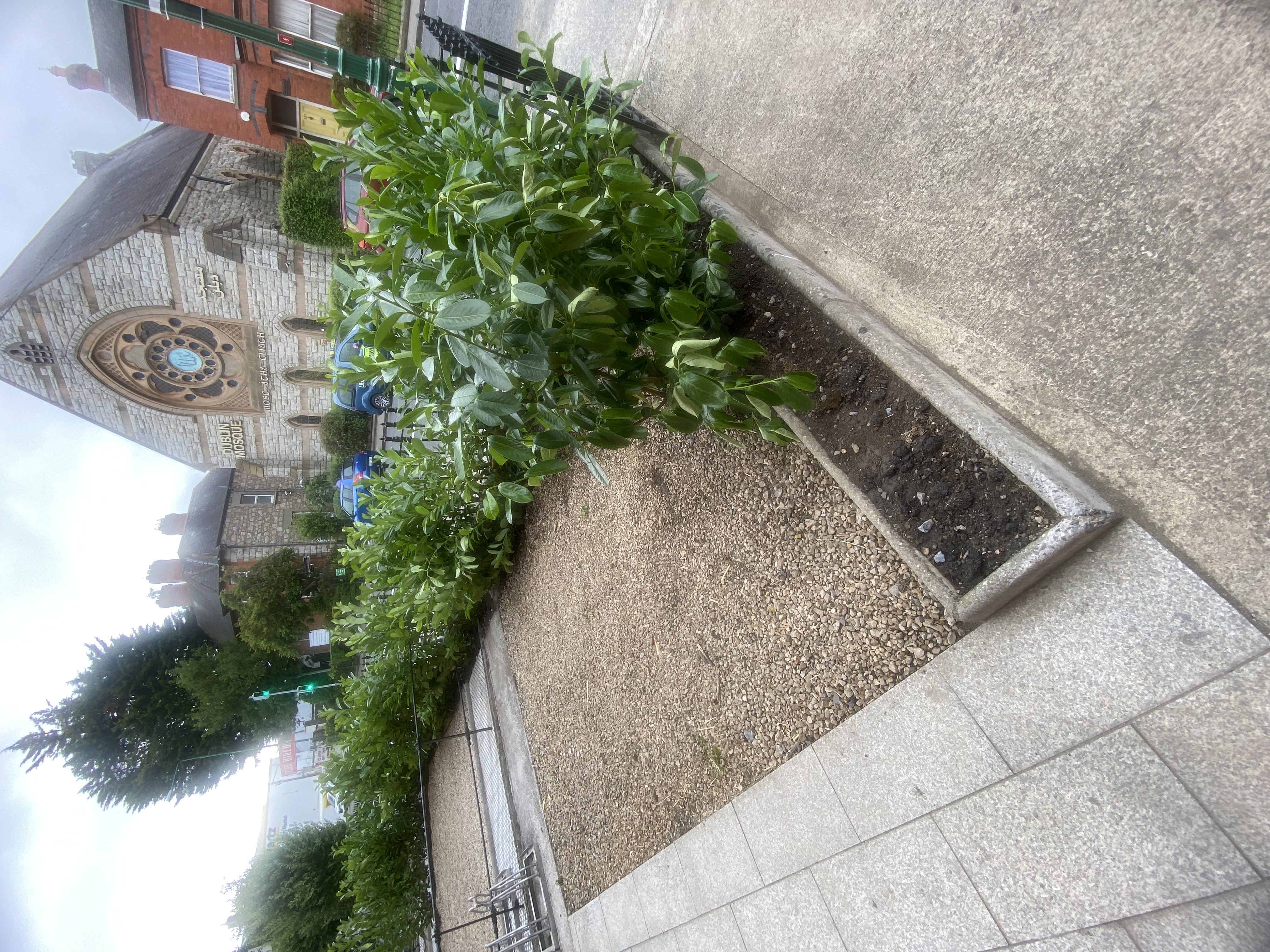 image-11