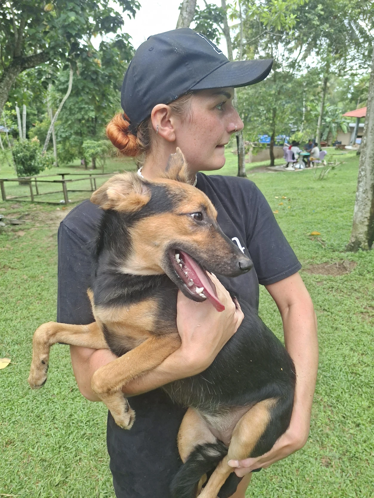 image-3