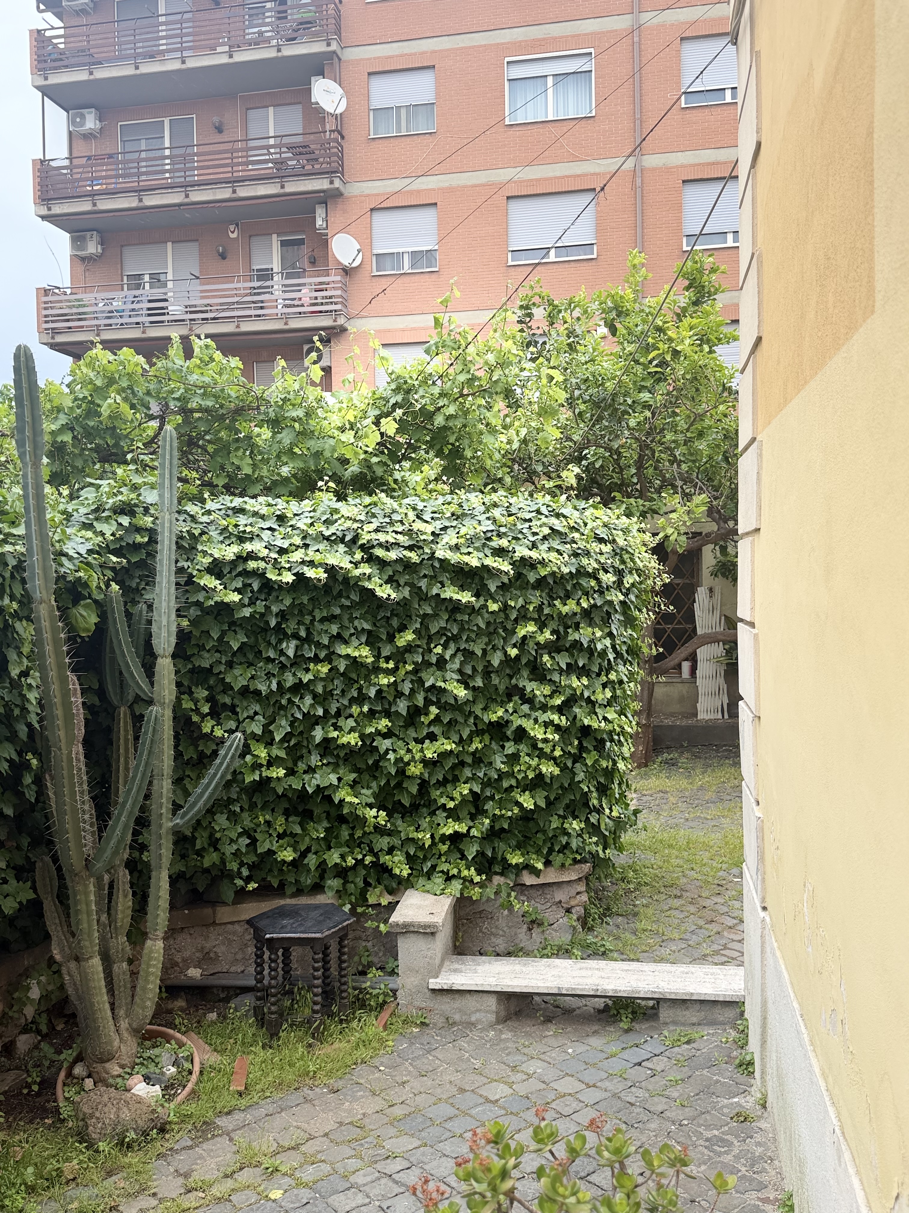 image-21