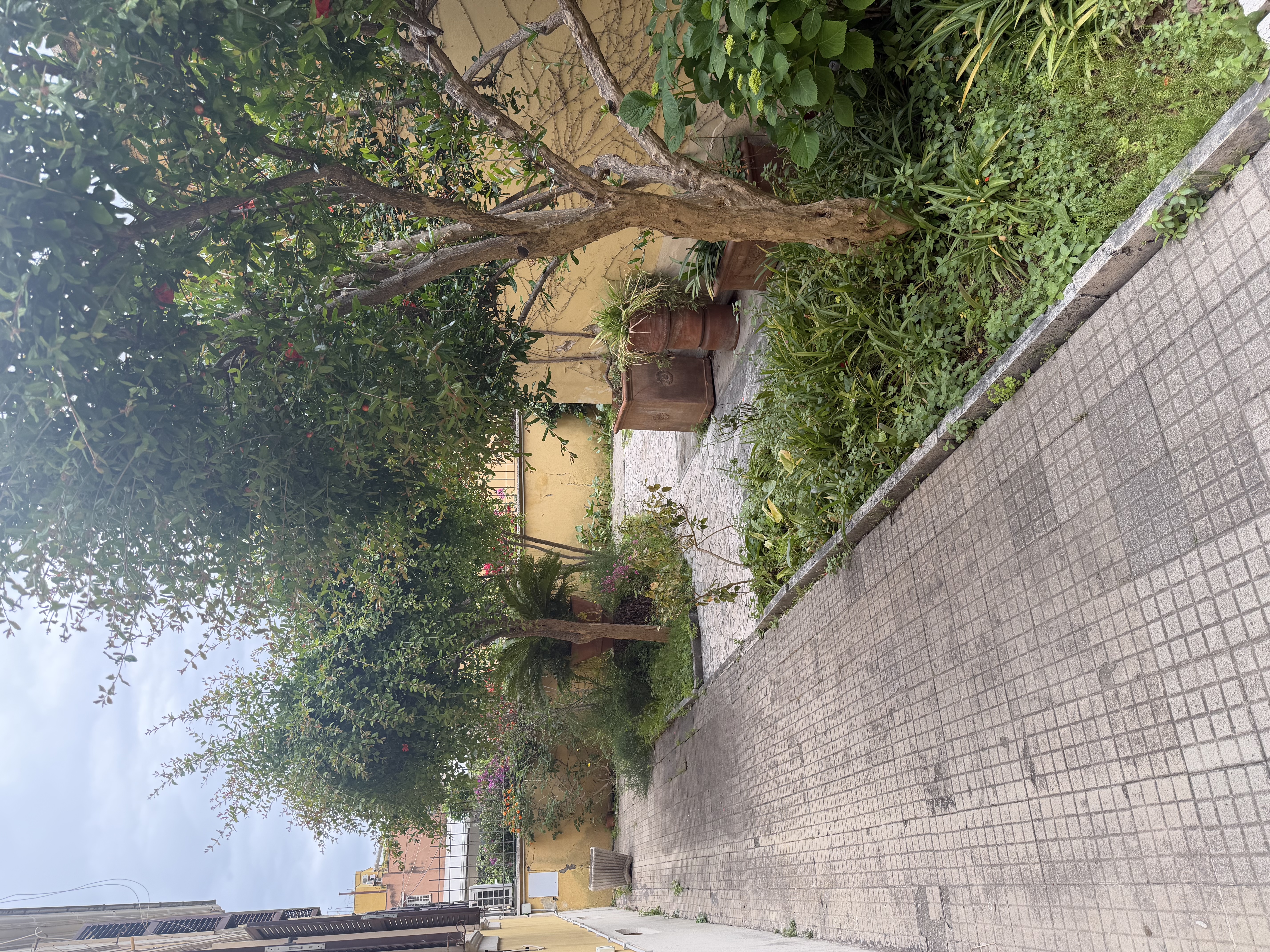 image-29