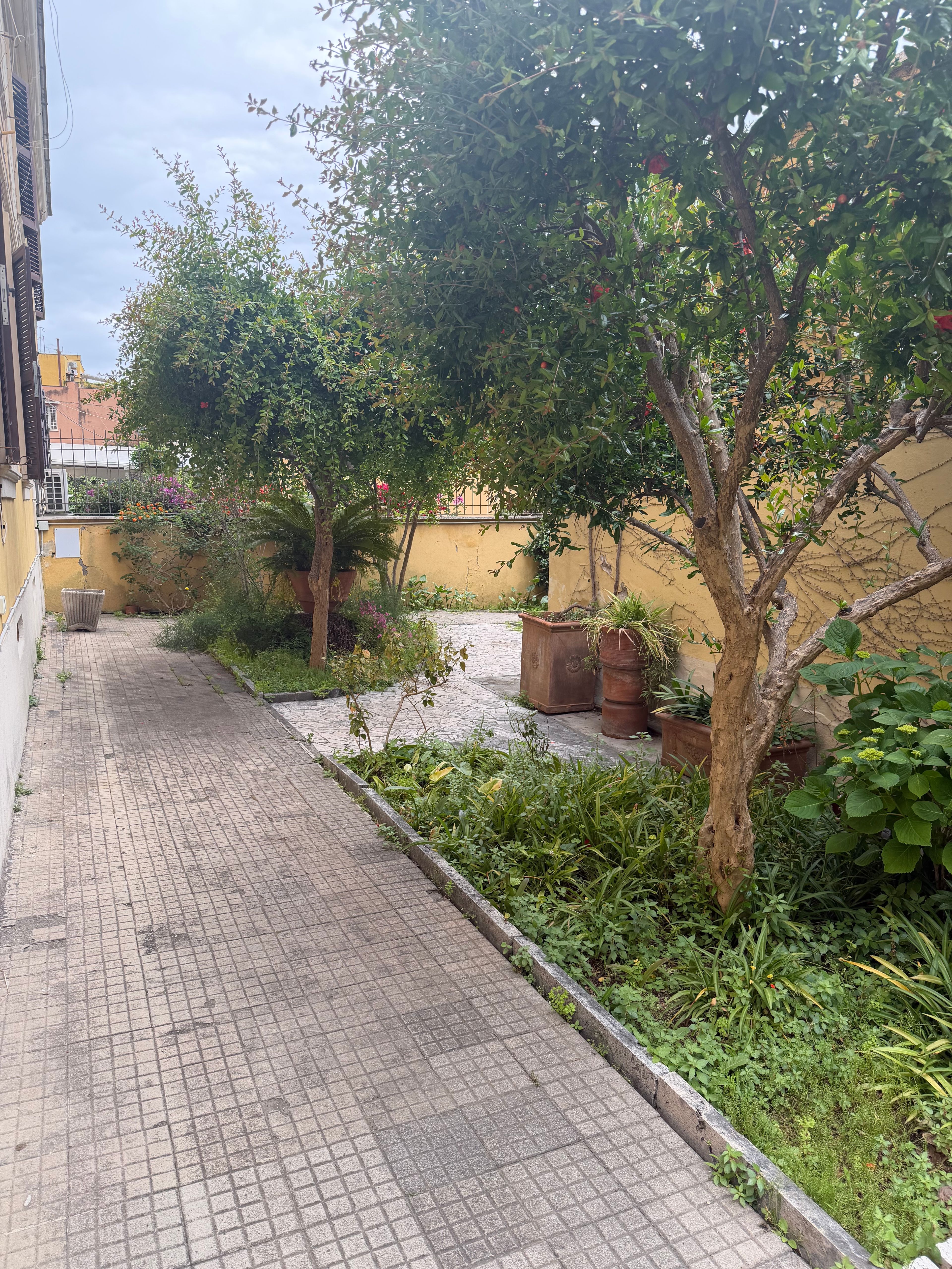 image-29