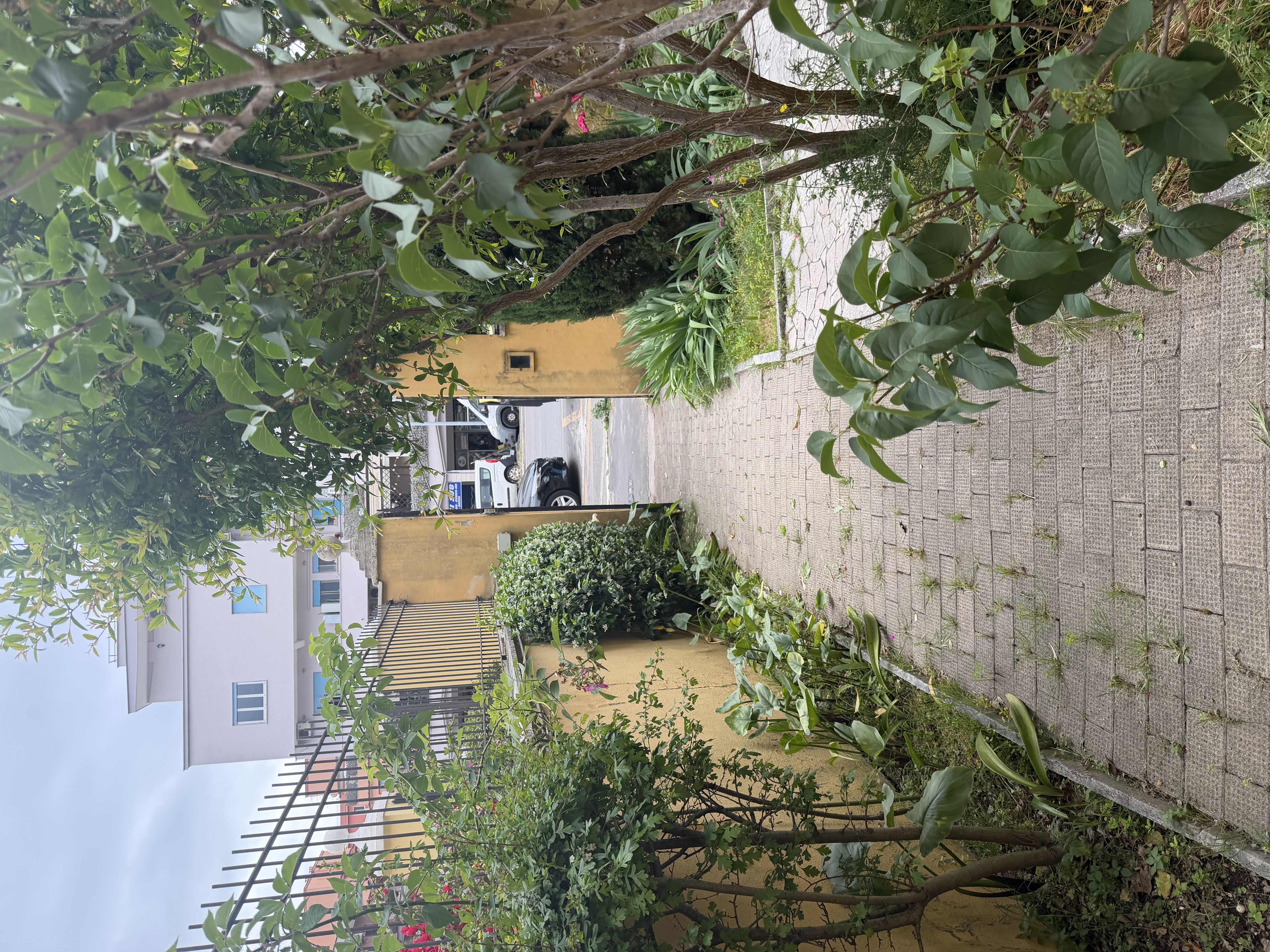 image-23