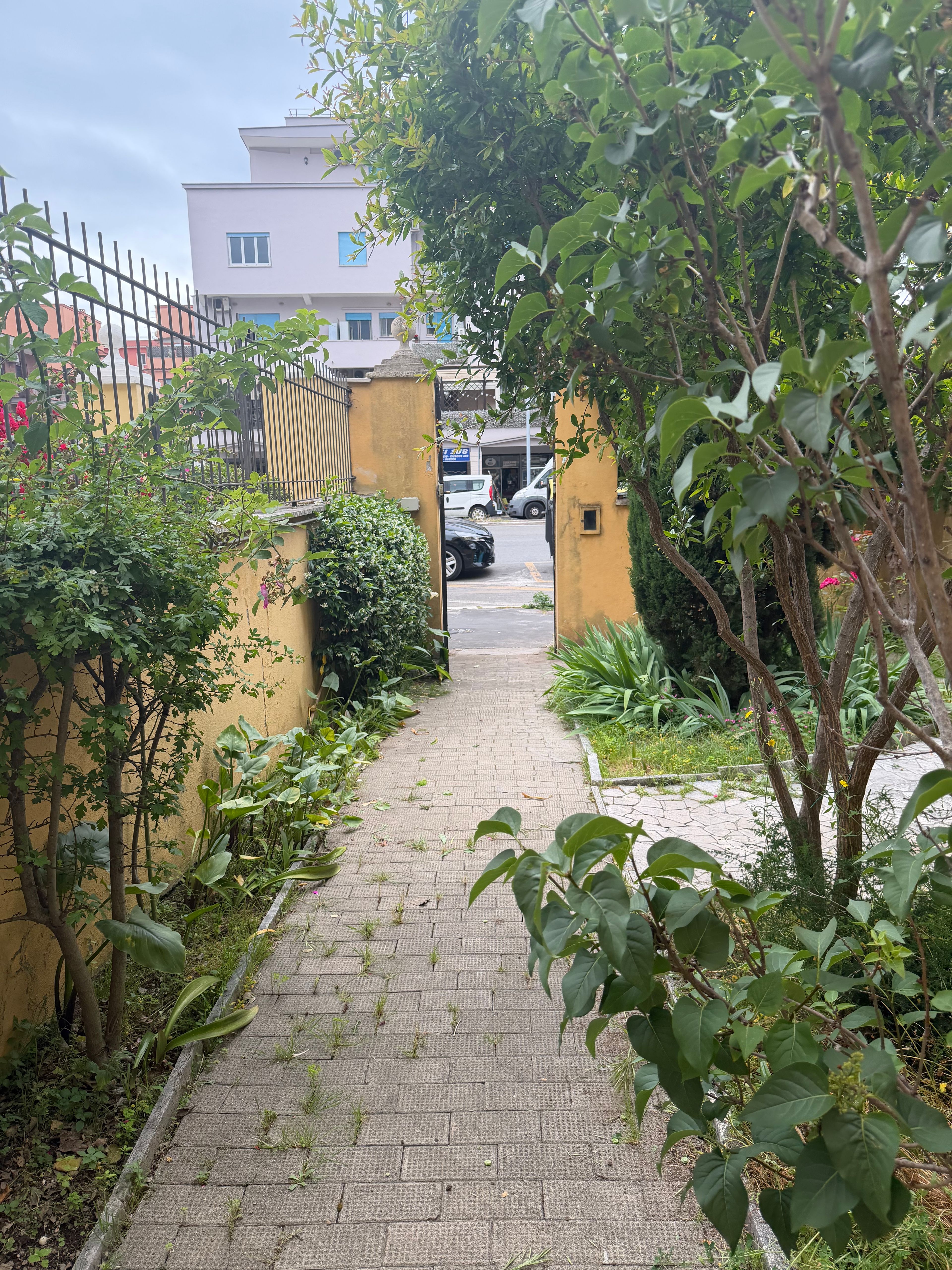 image-23