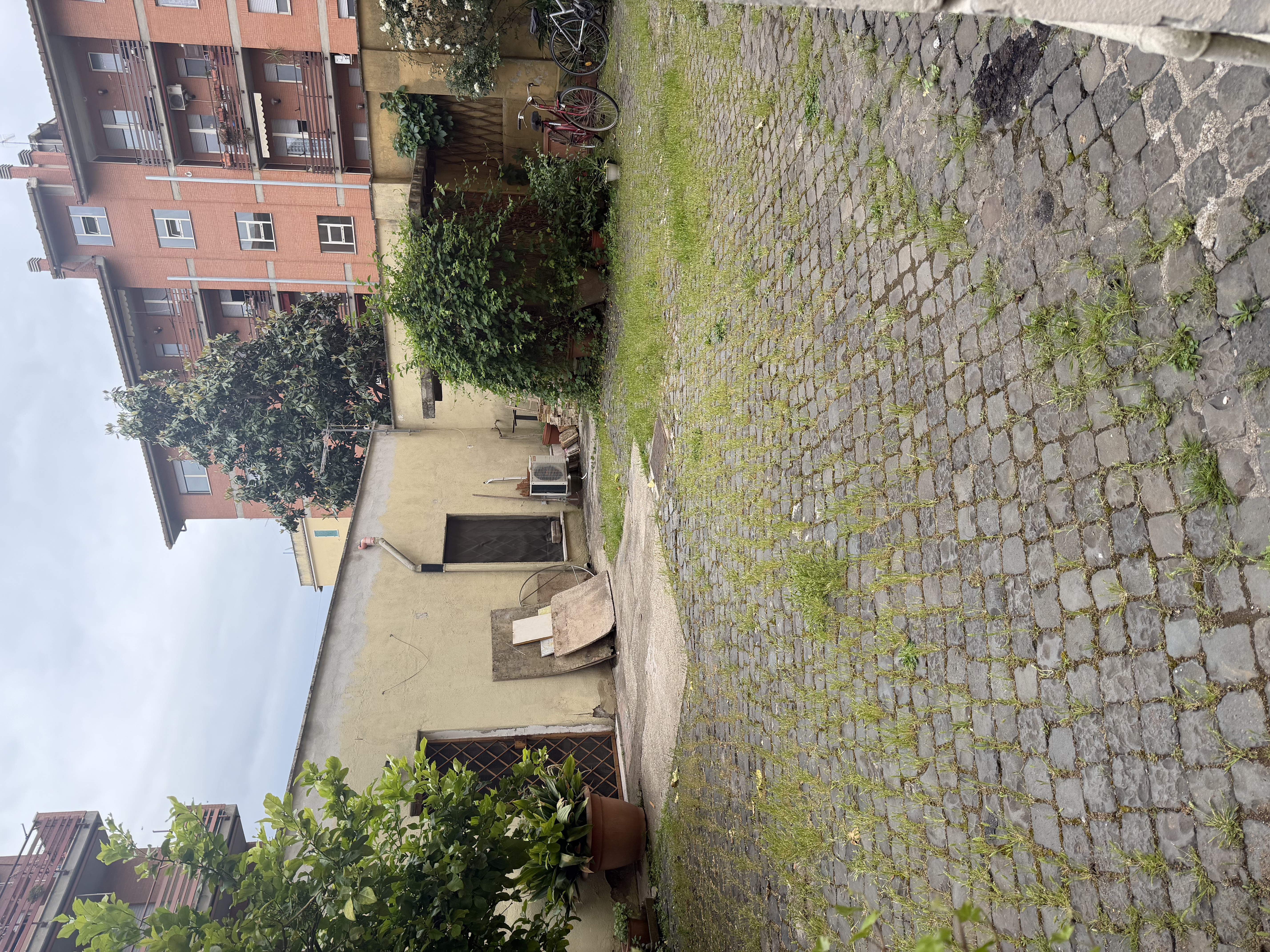 image-20