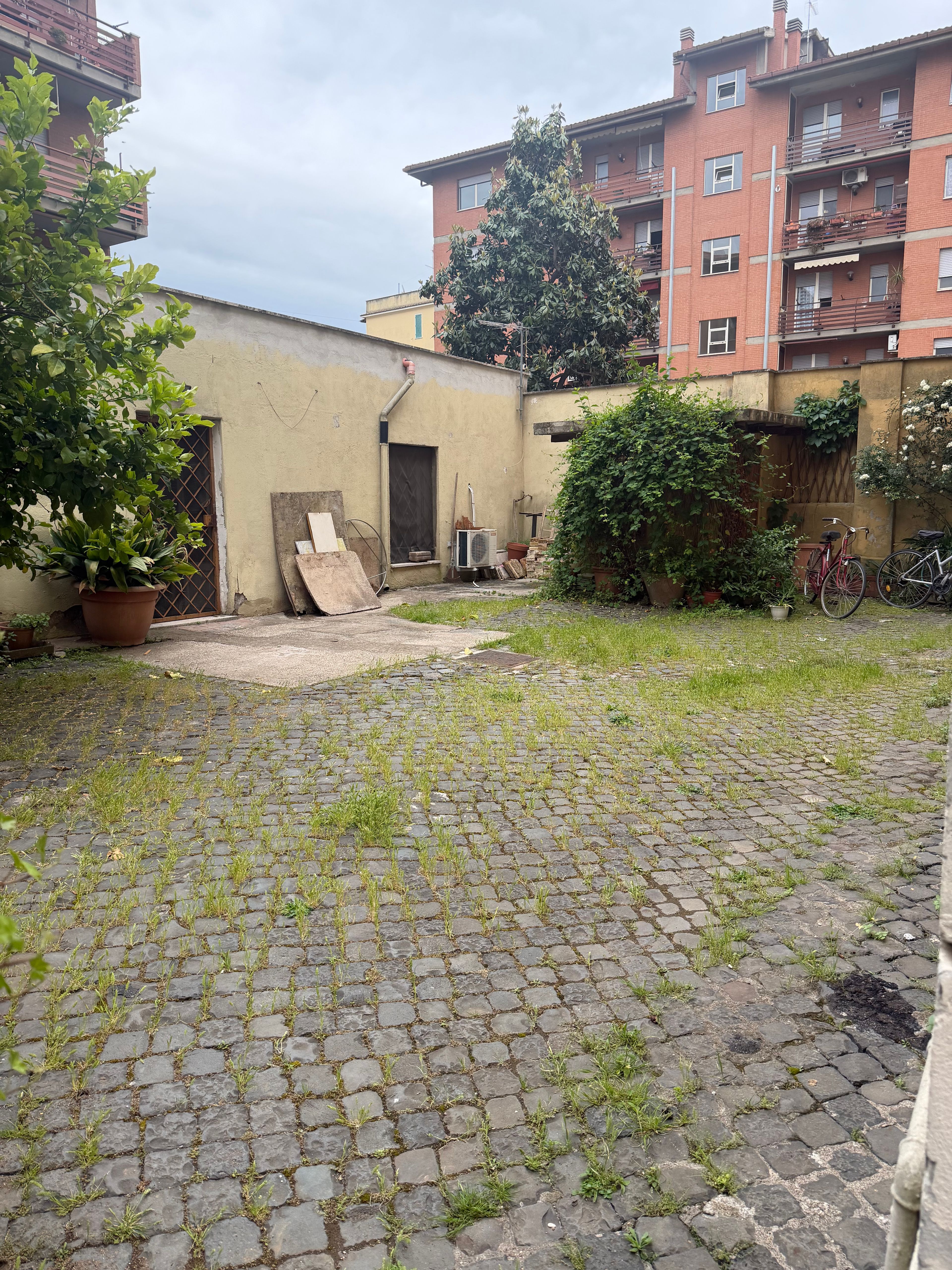 image-20