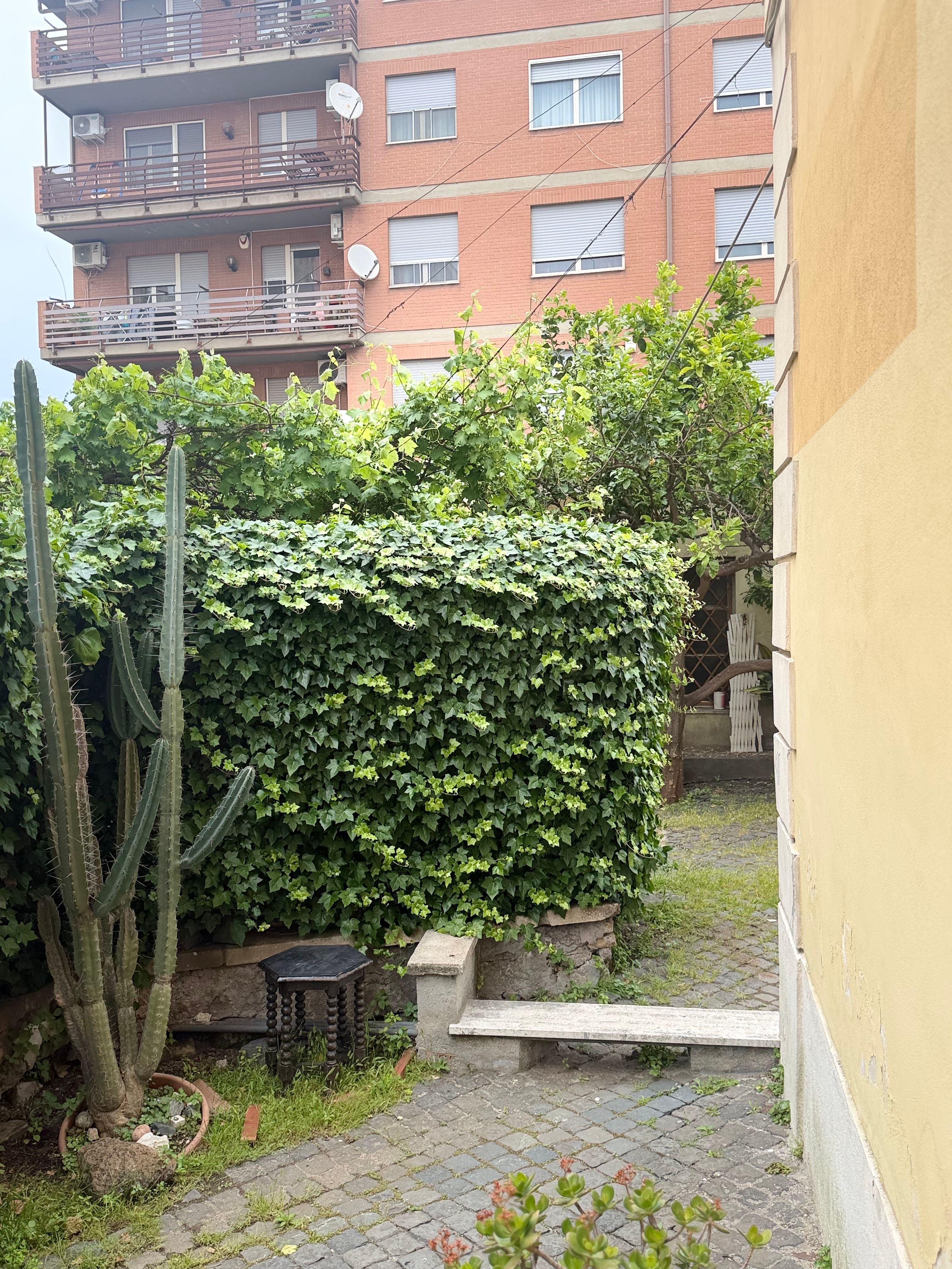 image-30