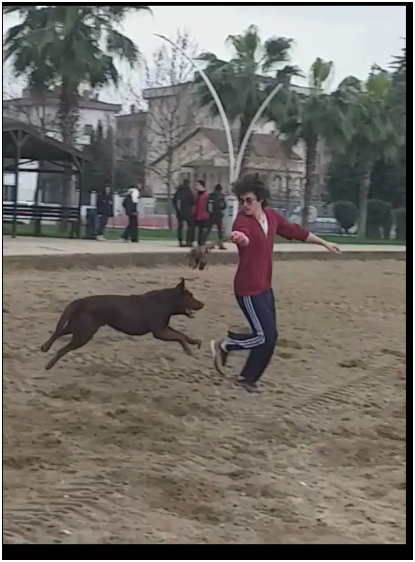 image-3