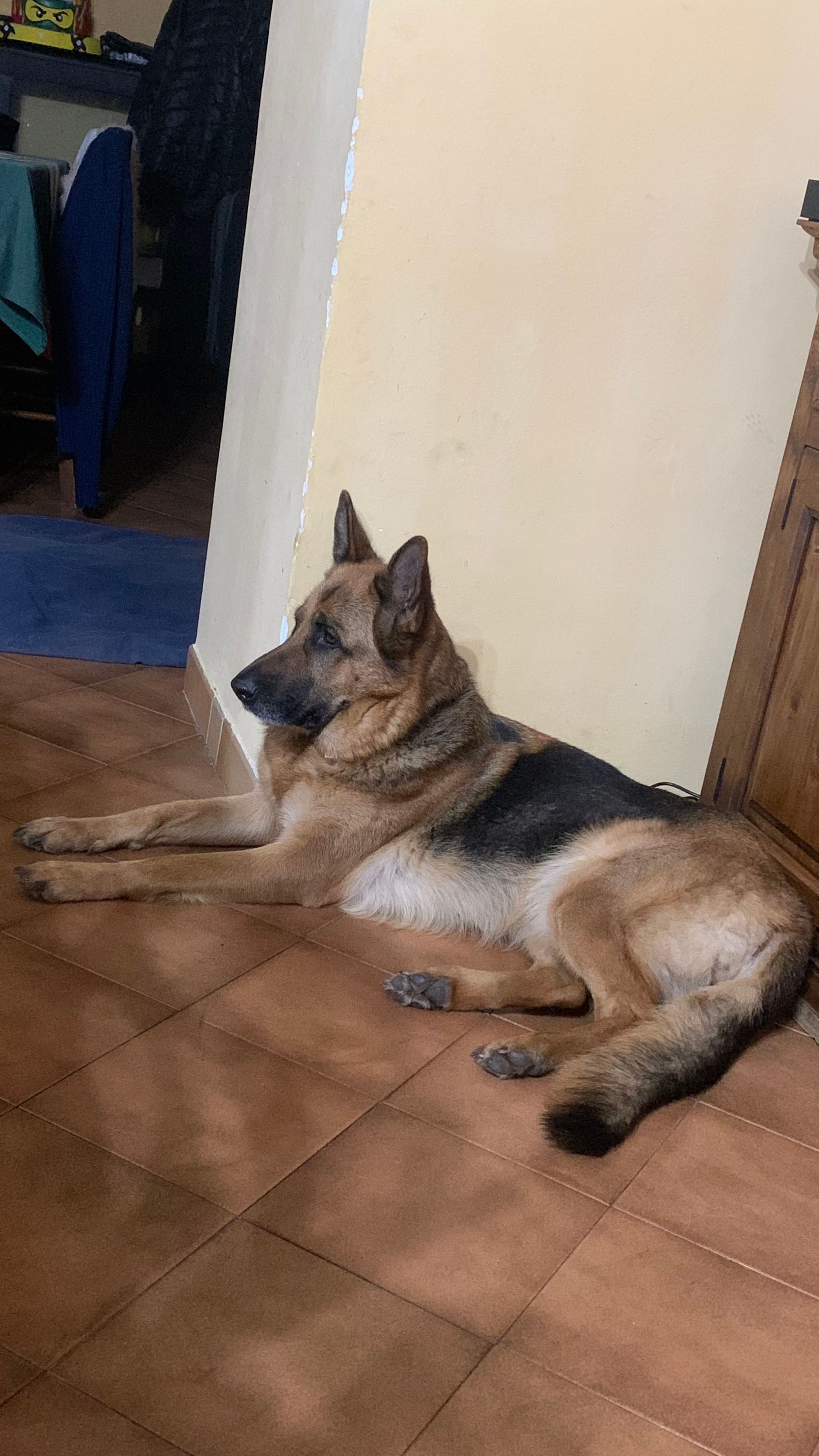 image-19