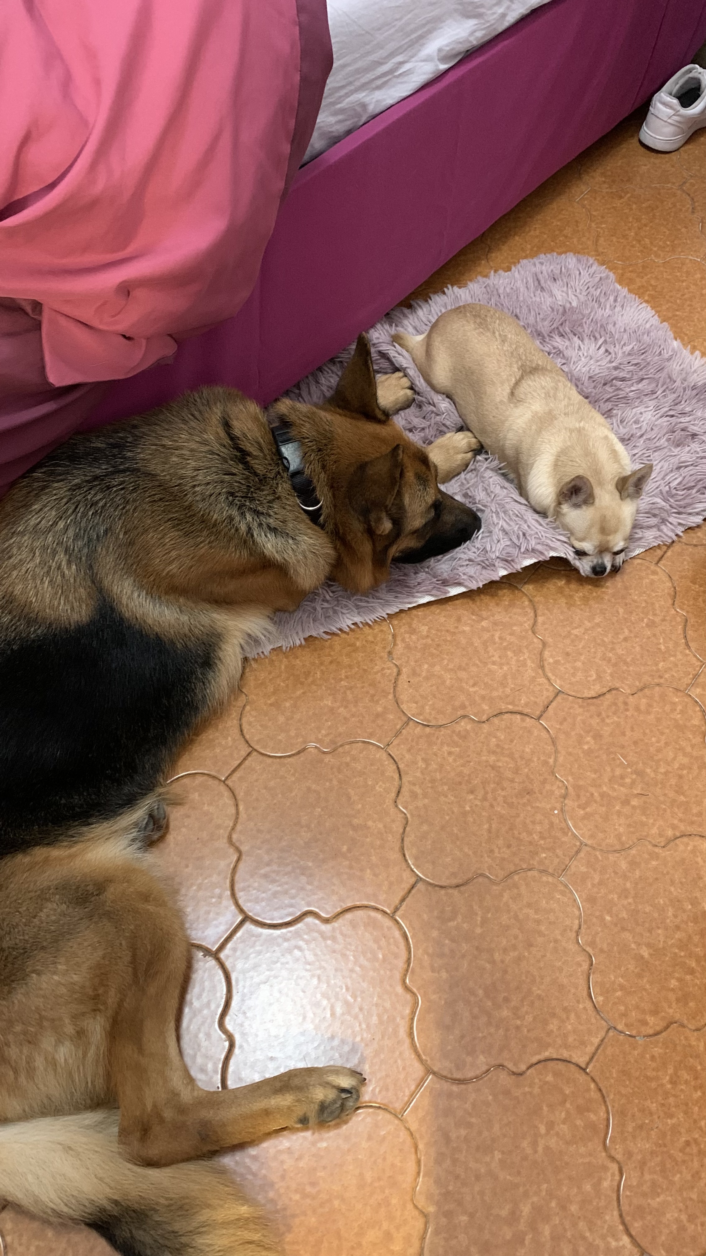 image-20