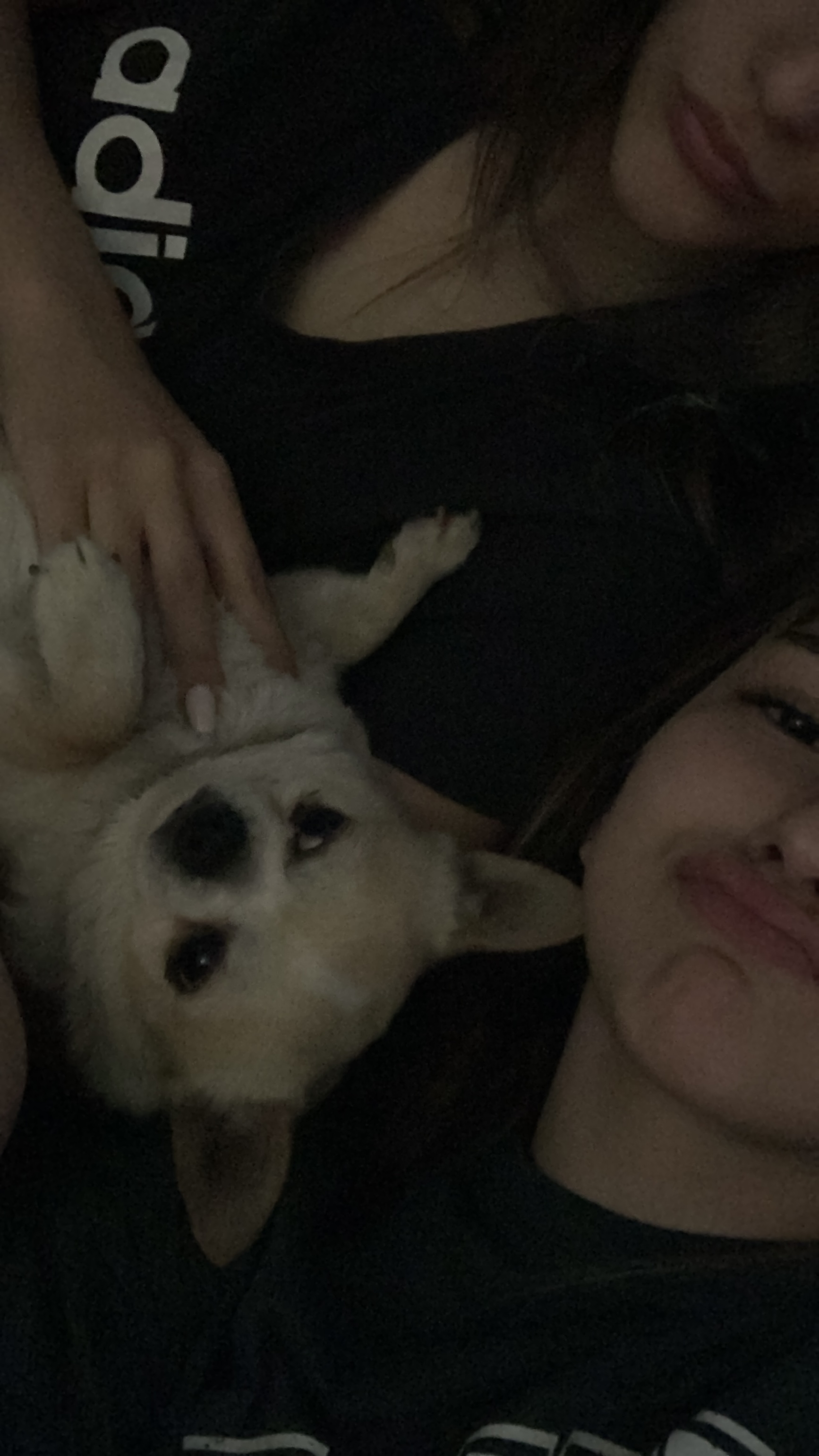 image-8