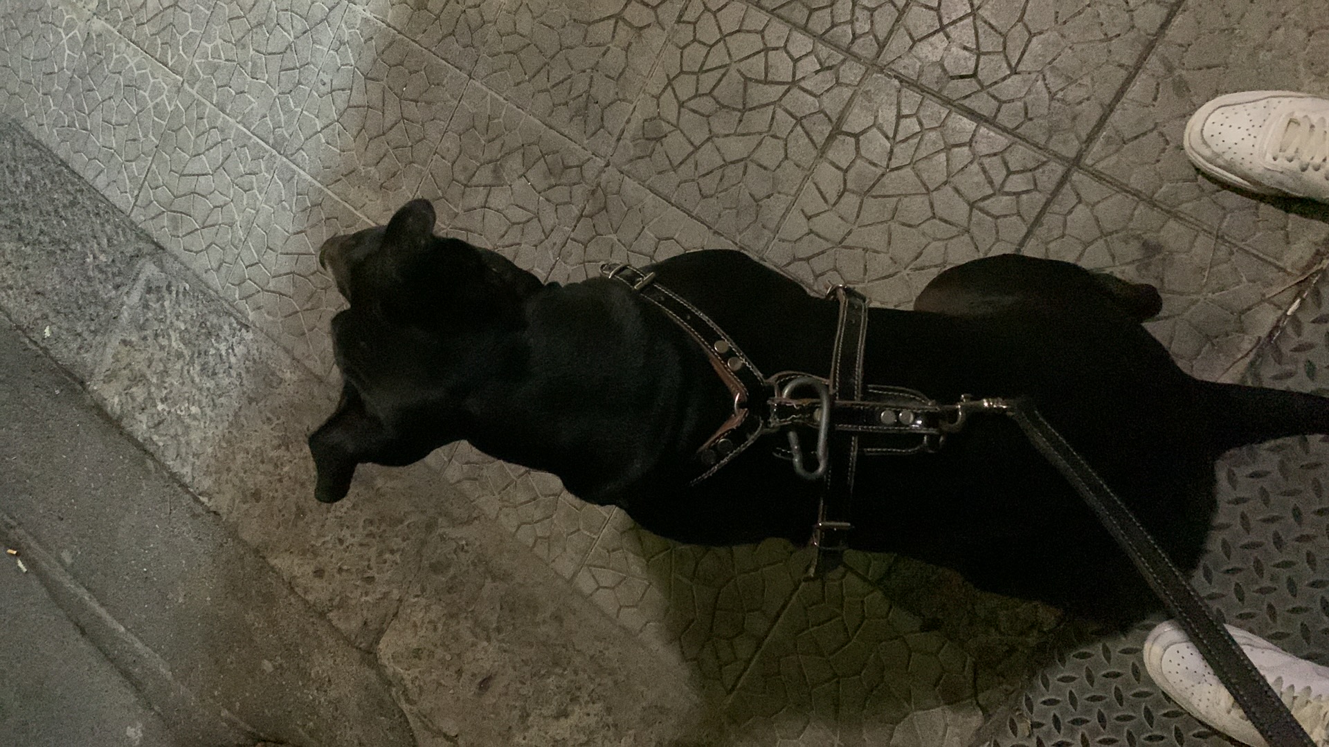 image-7