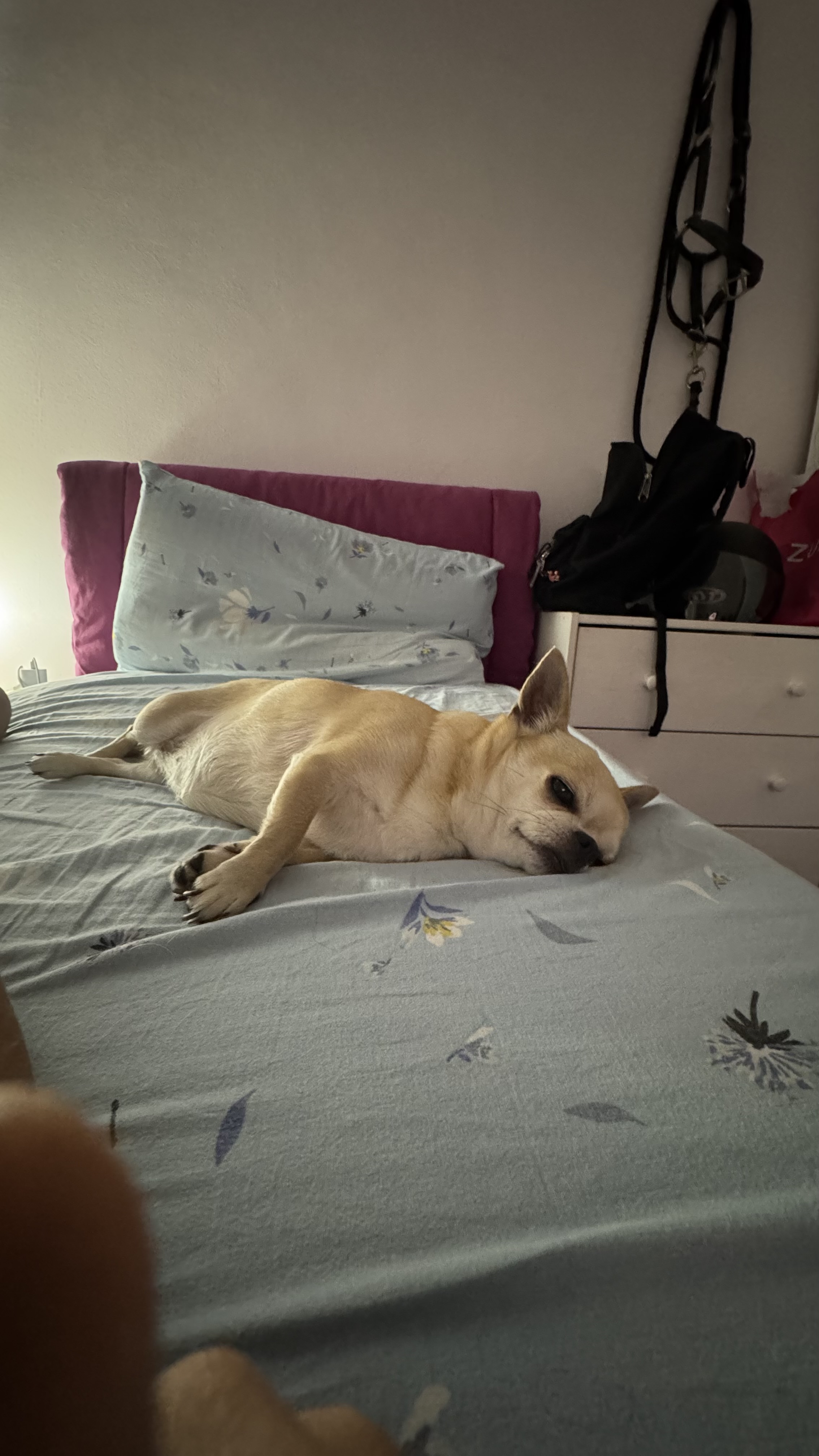 image-16