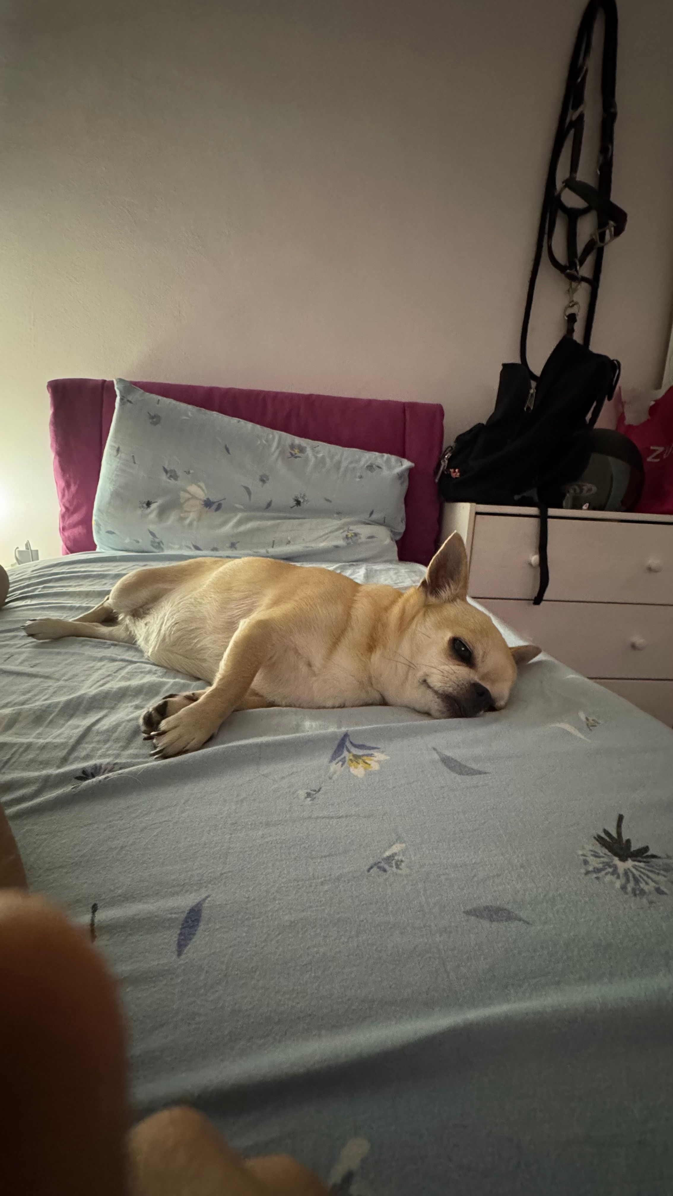 image-16