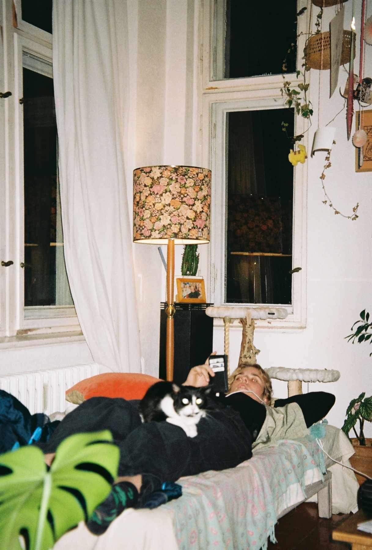 image-7