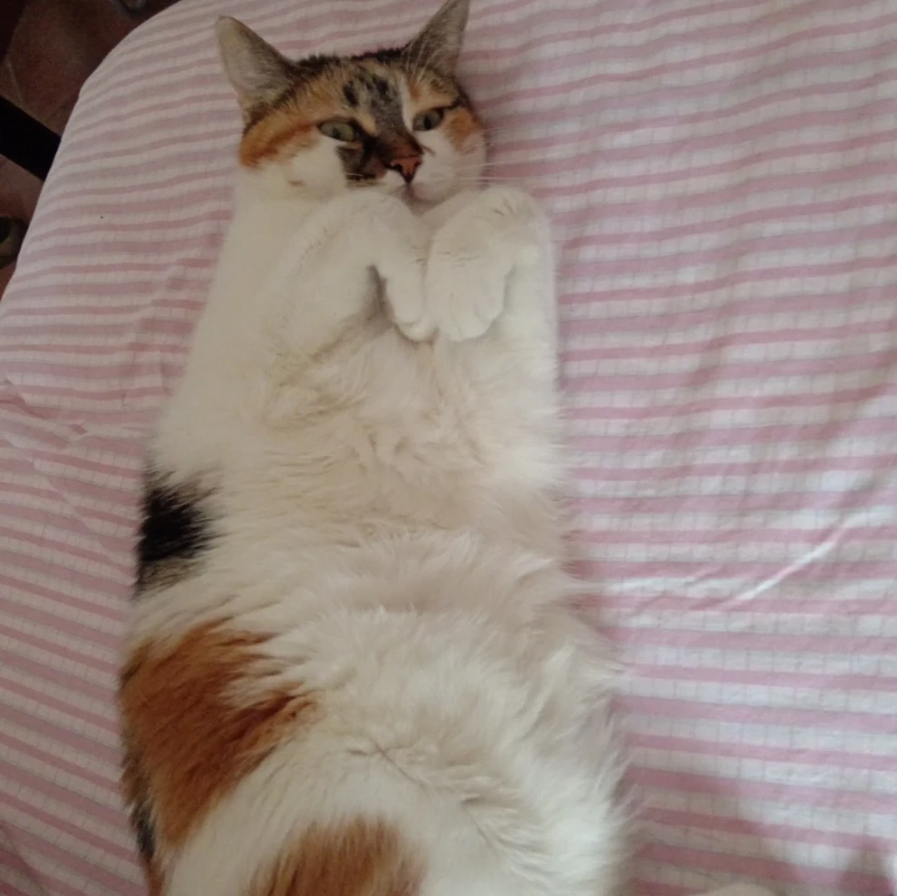 Pepper 