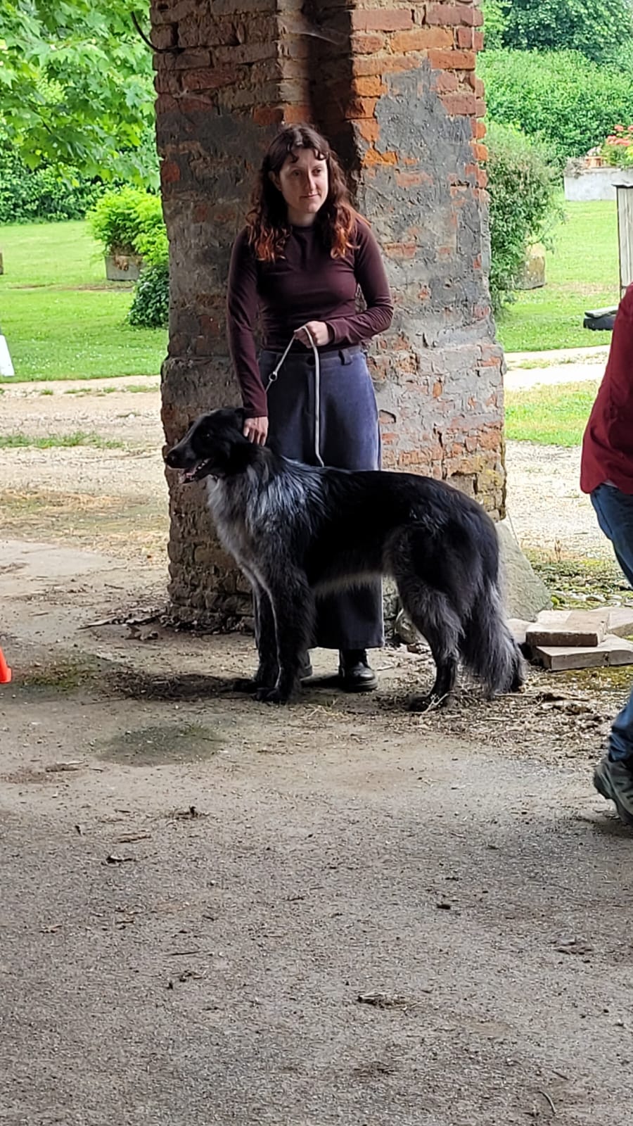 image-3