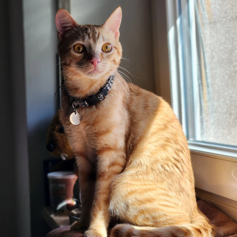 Milo
