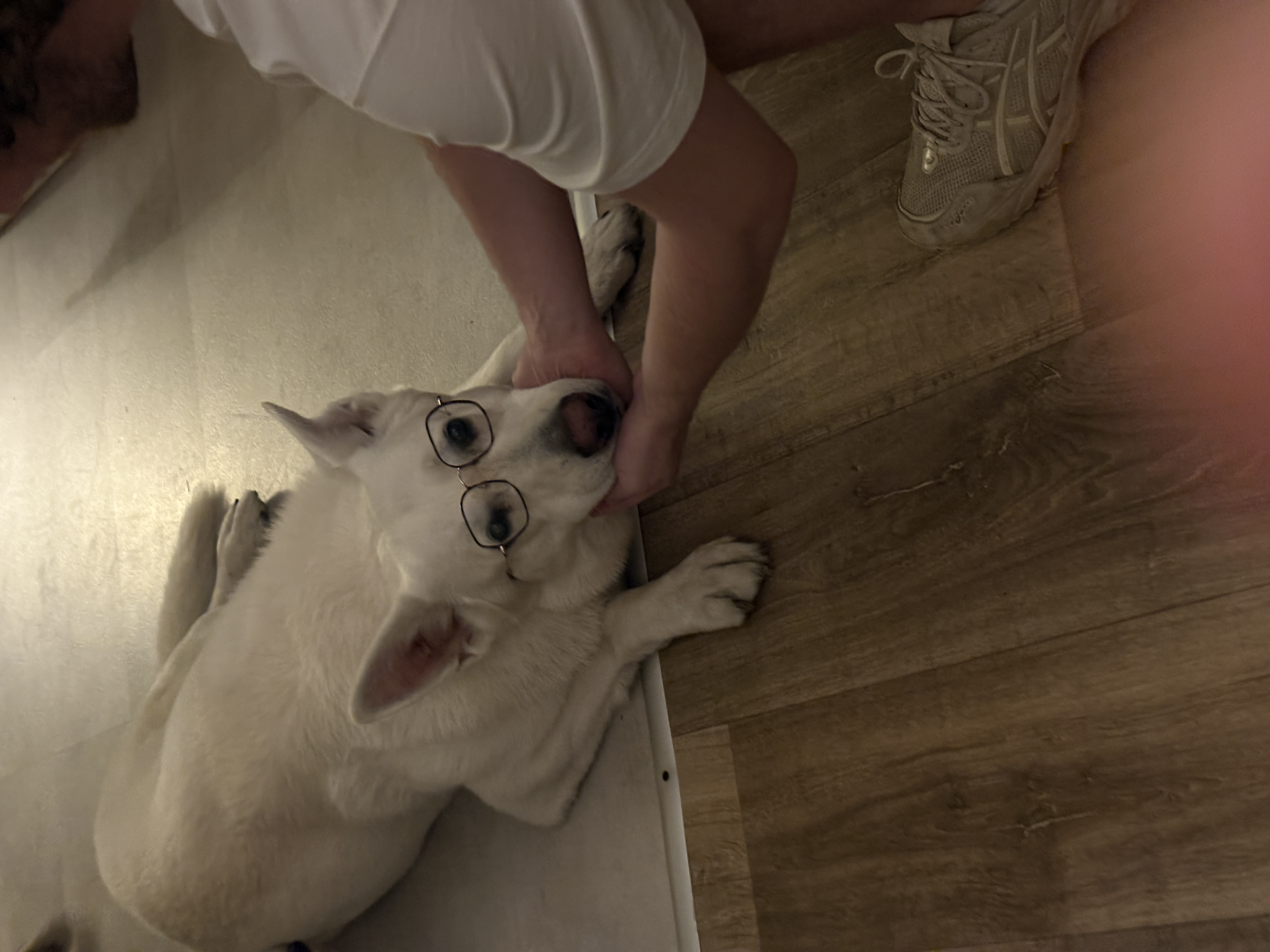 image-8