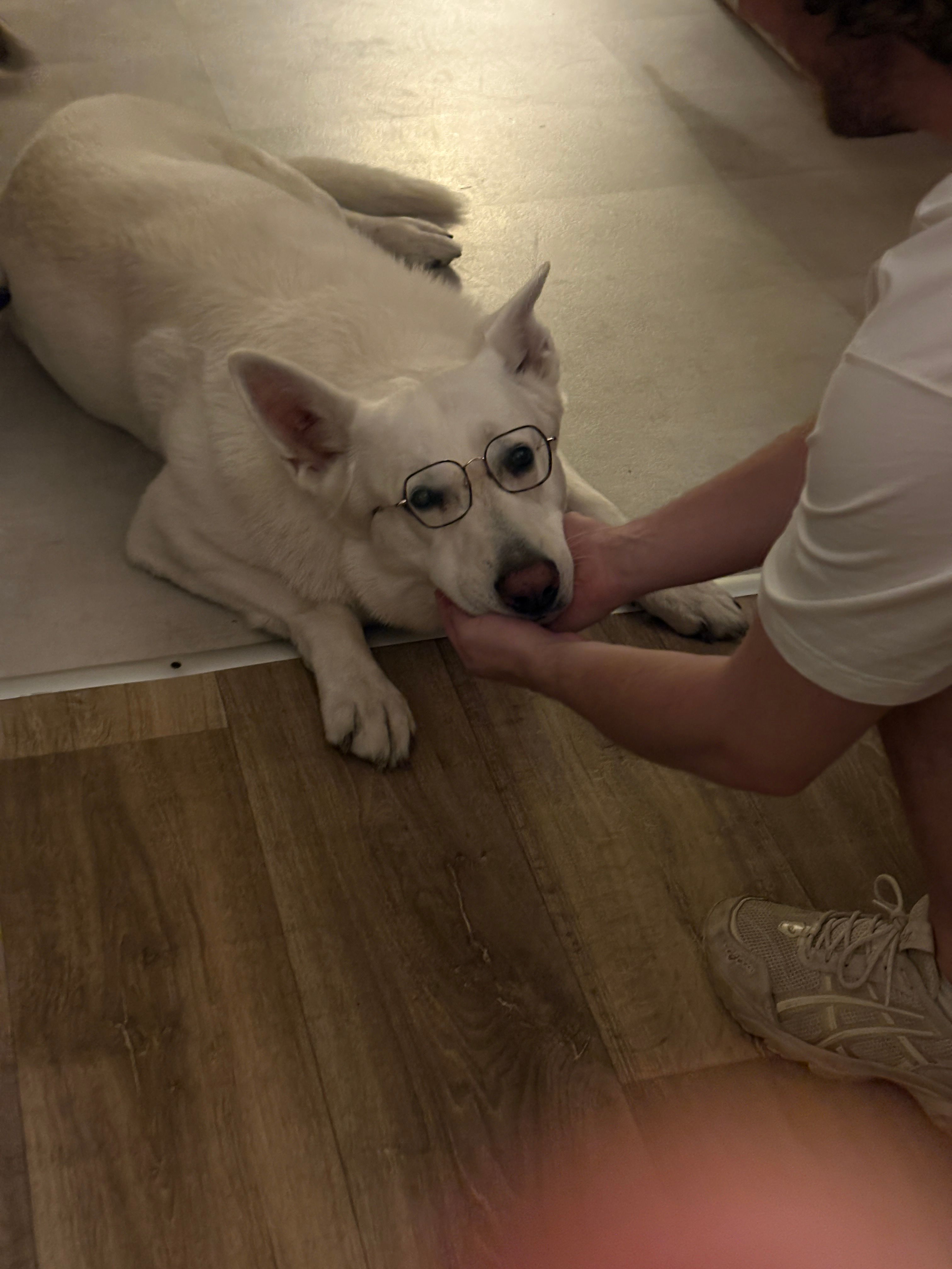 image-8