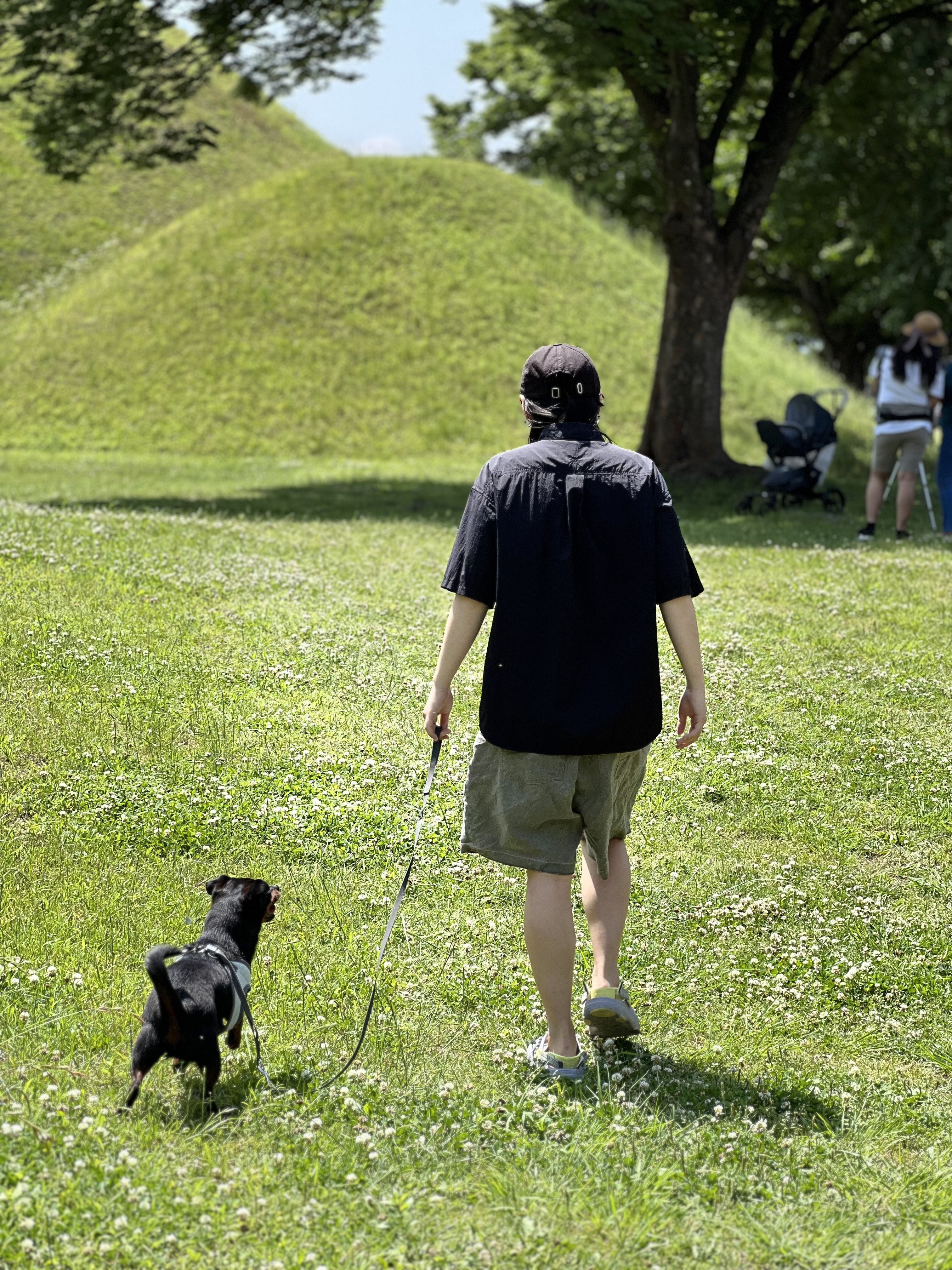 image-0