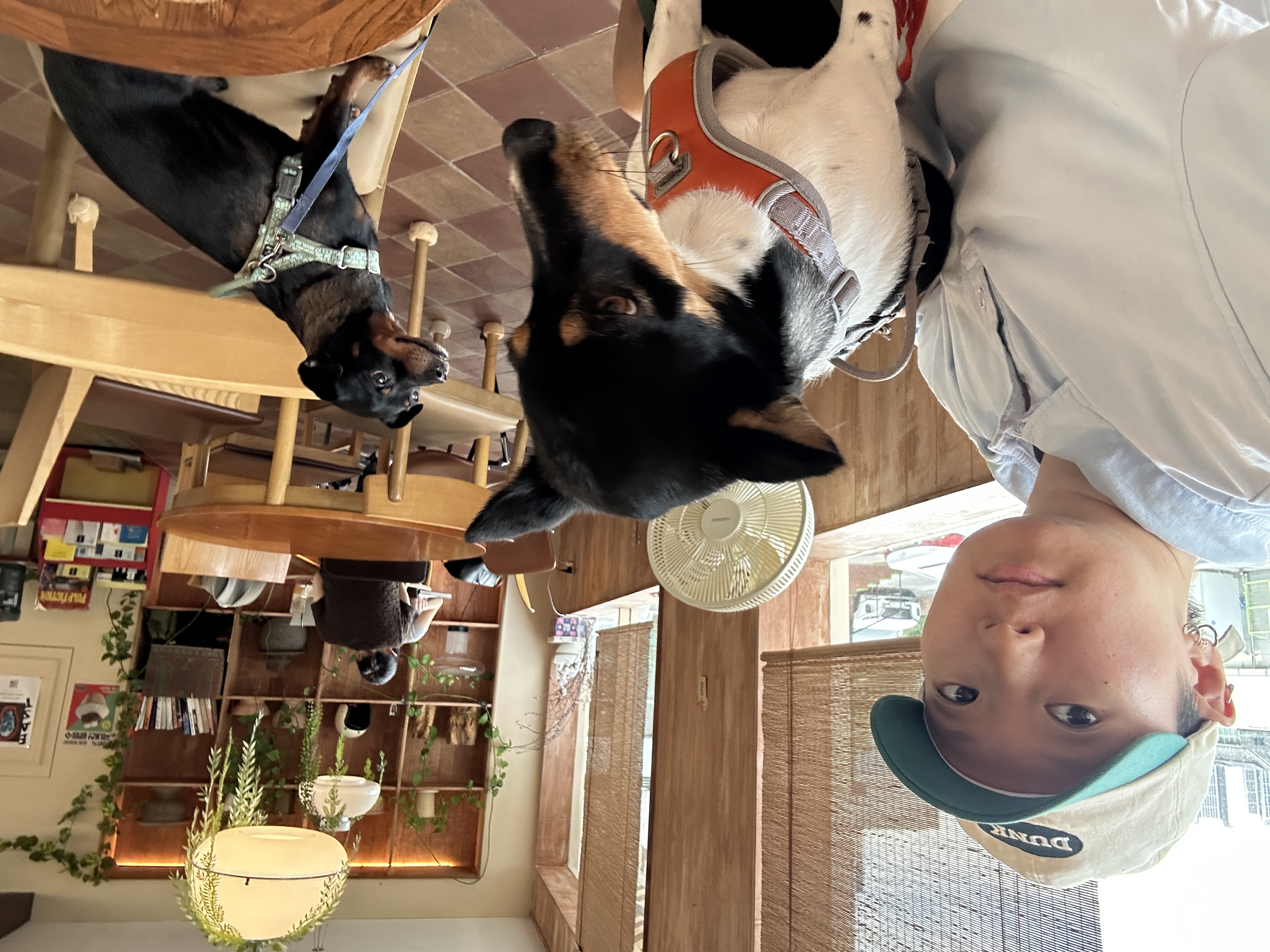 image-8