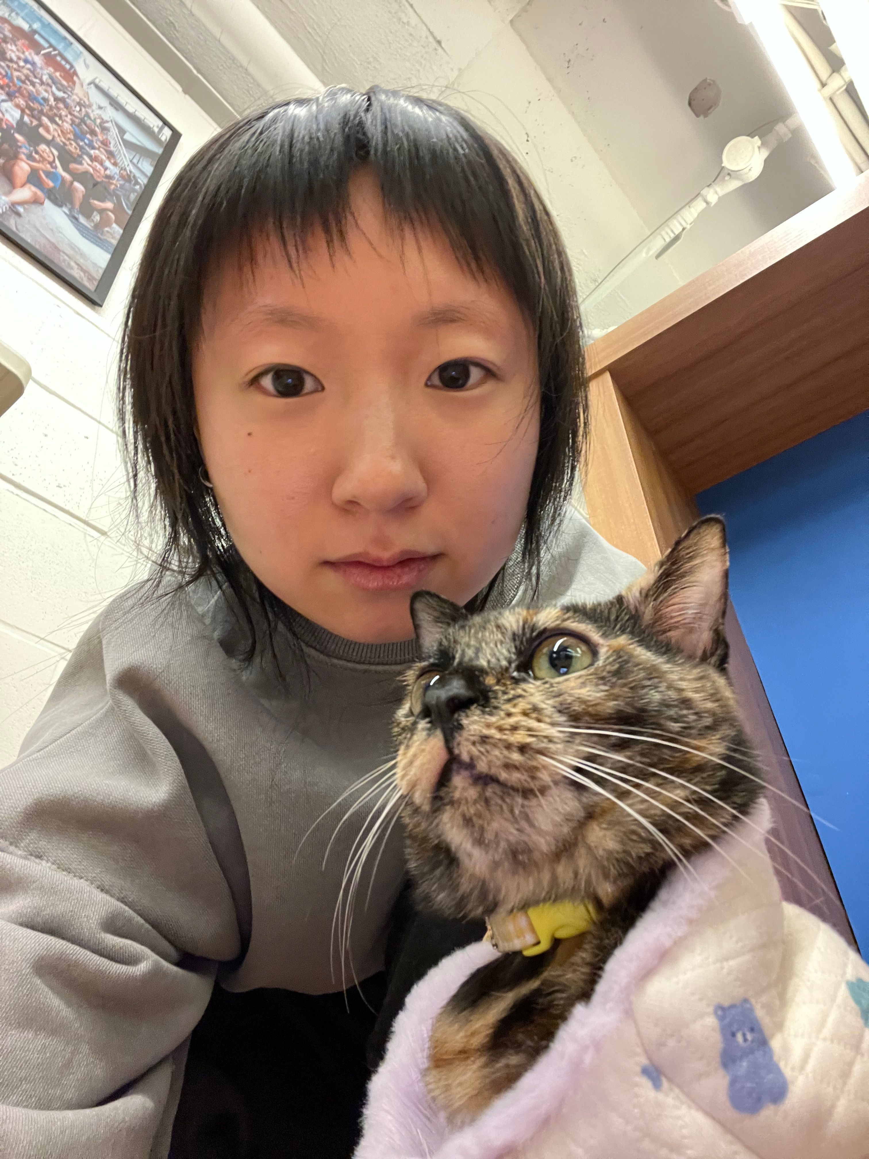 image-11