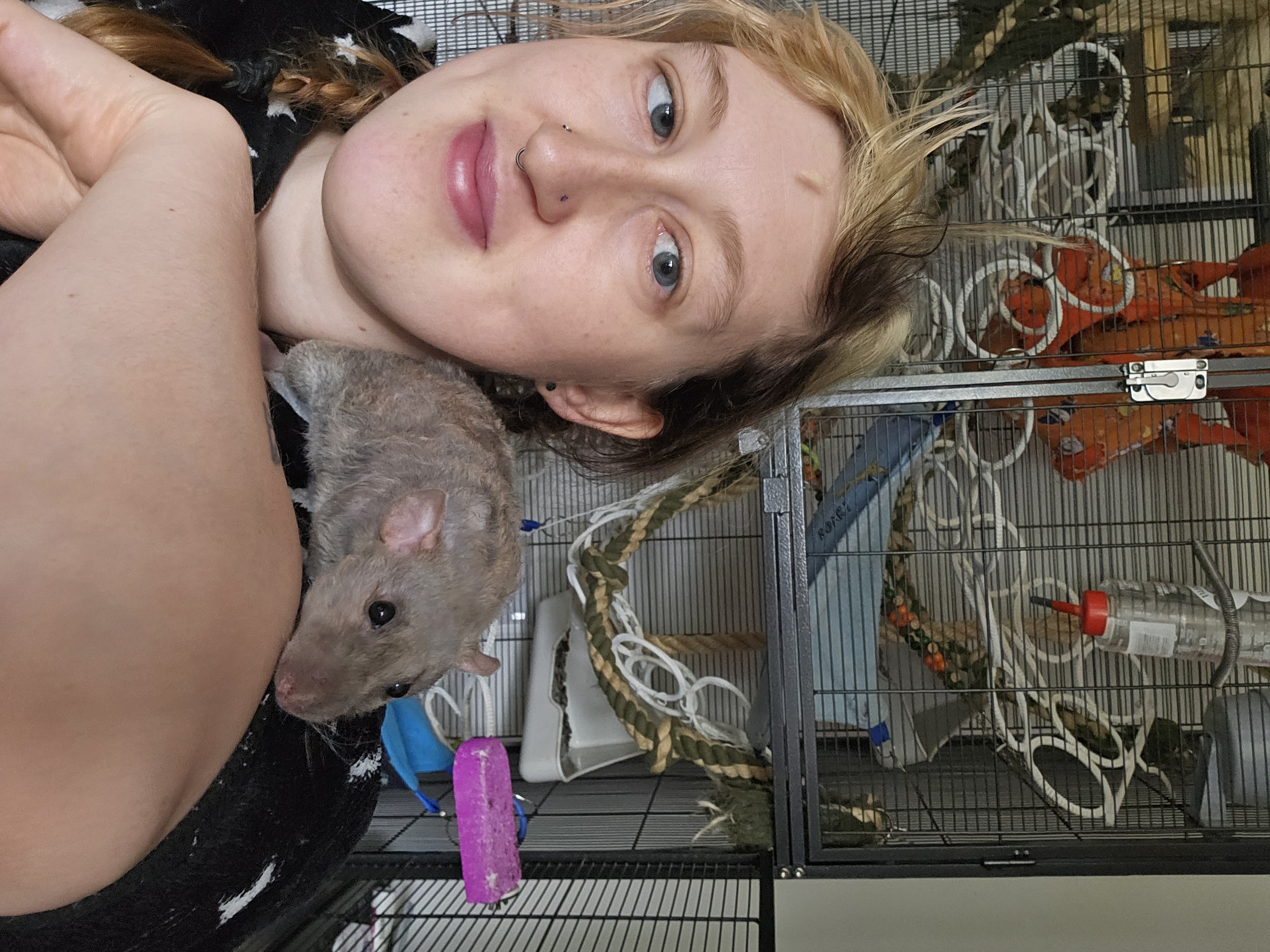 image-8