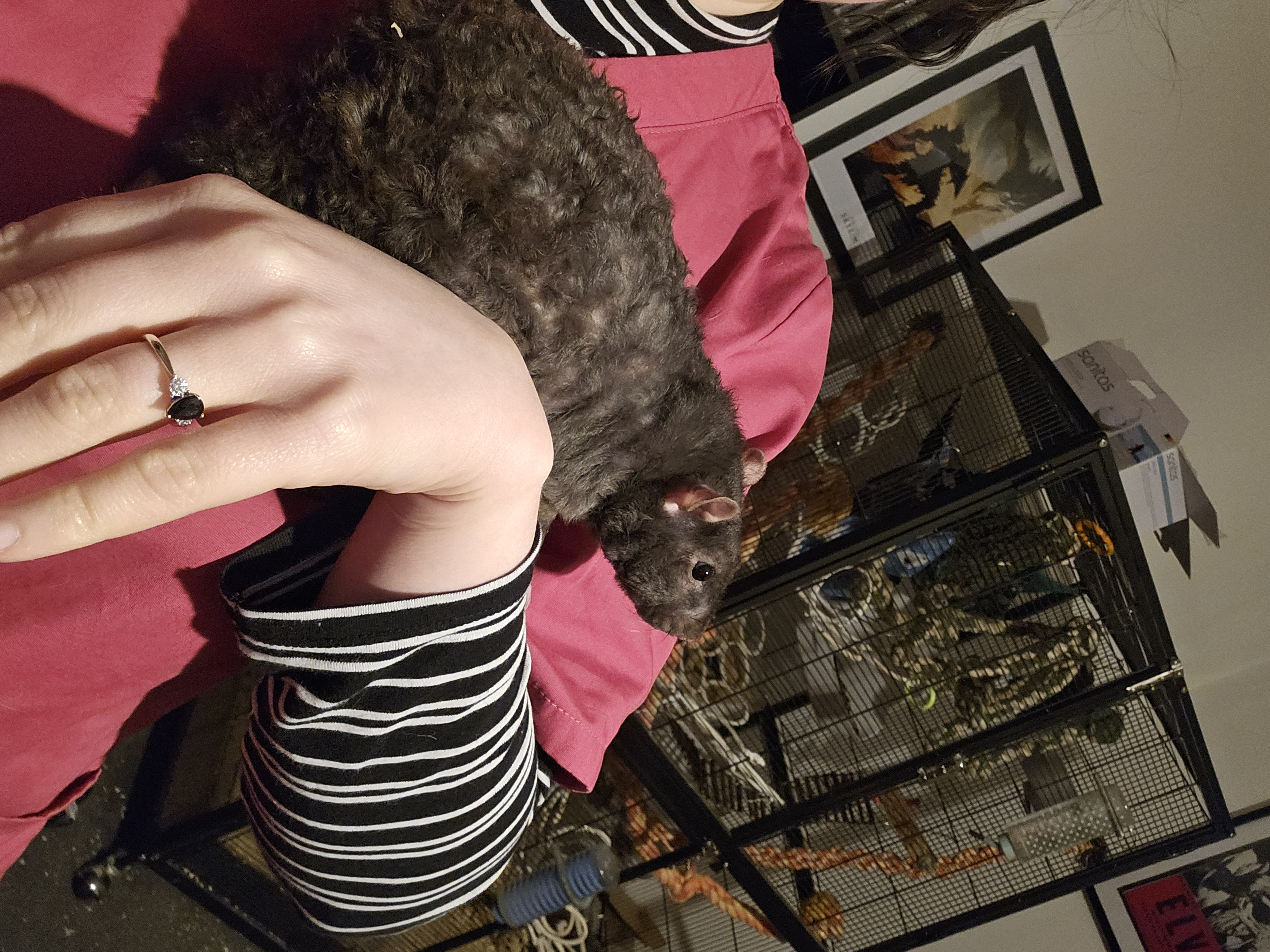 image-6