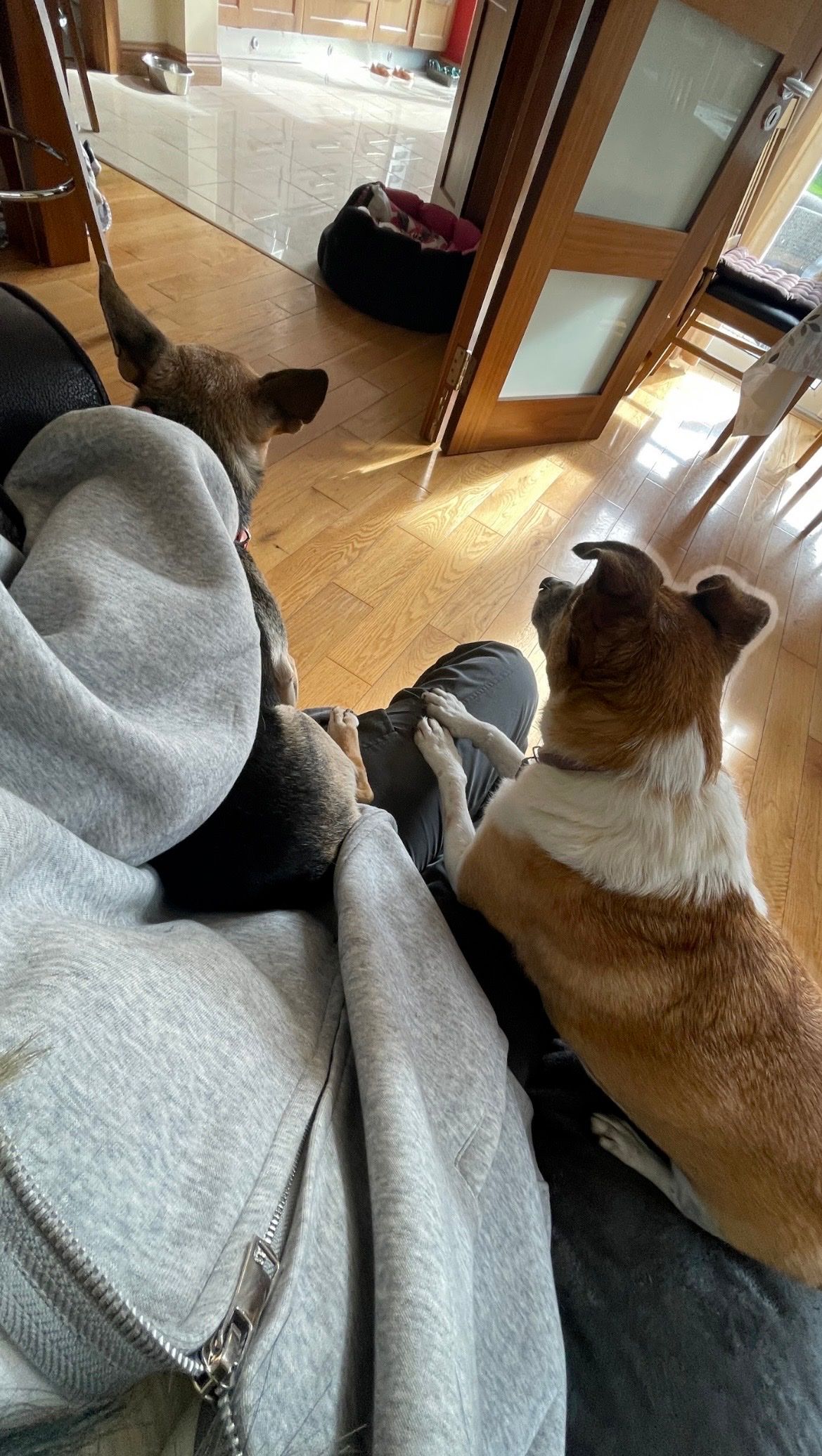 image-7