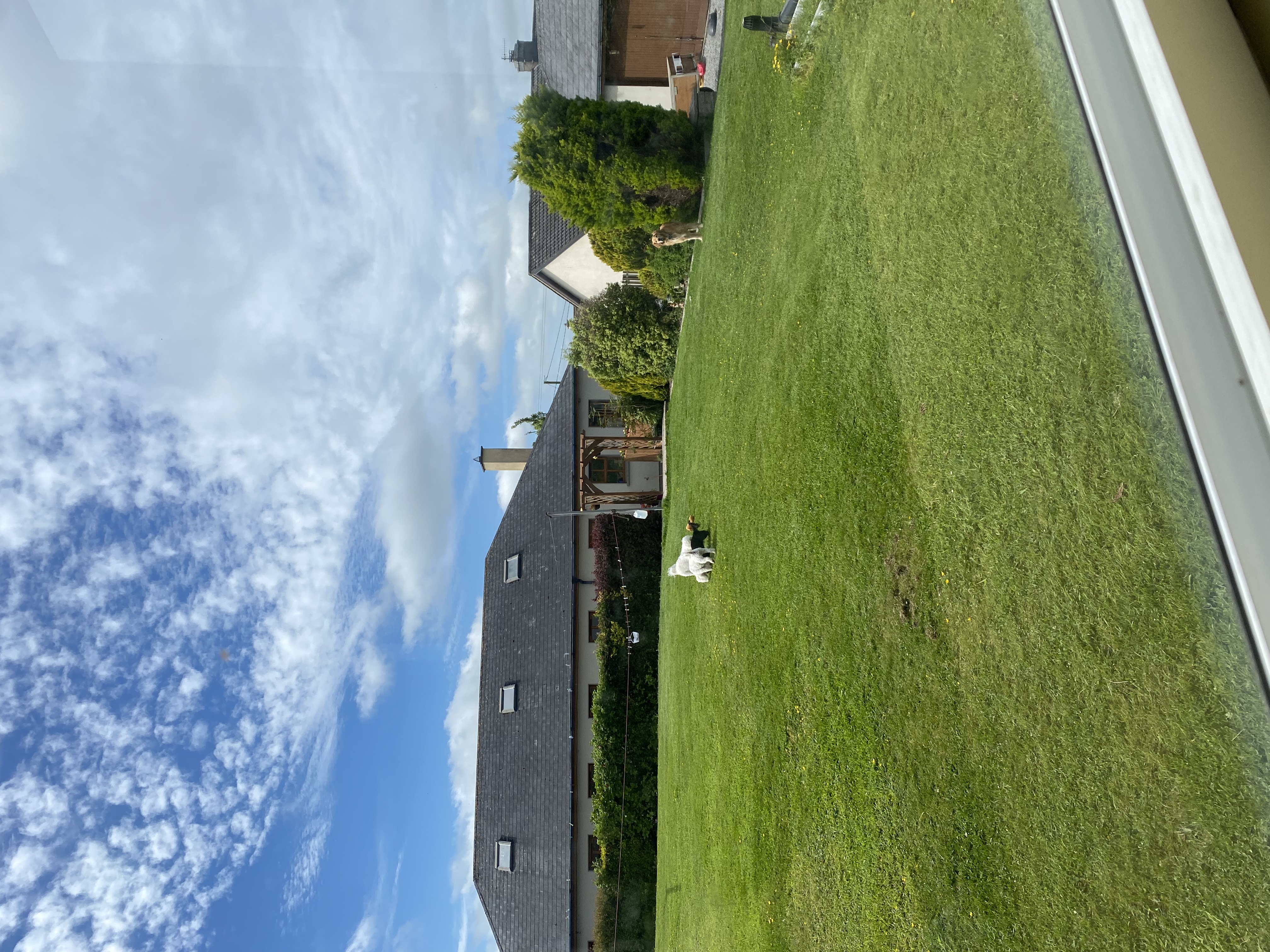 image-25