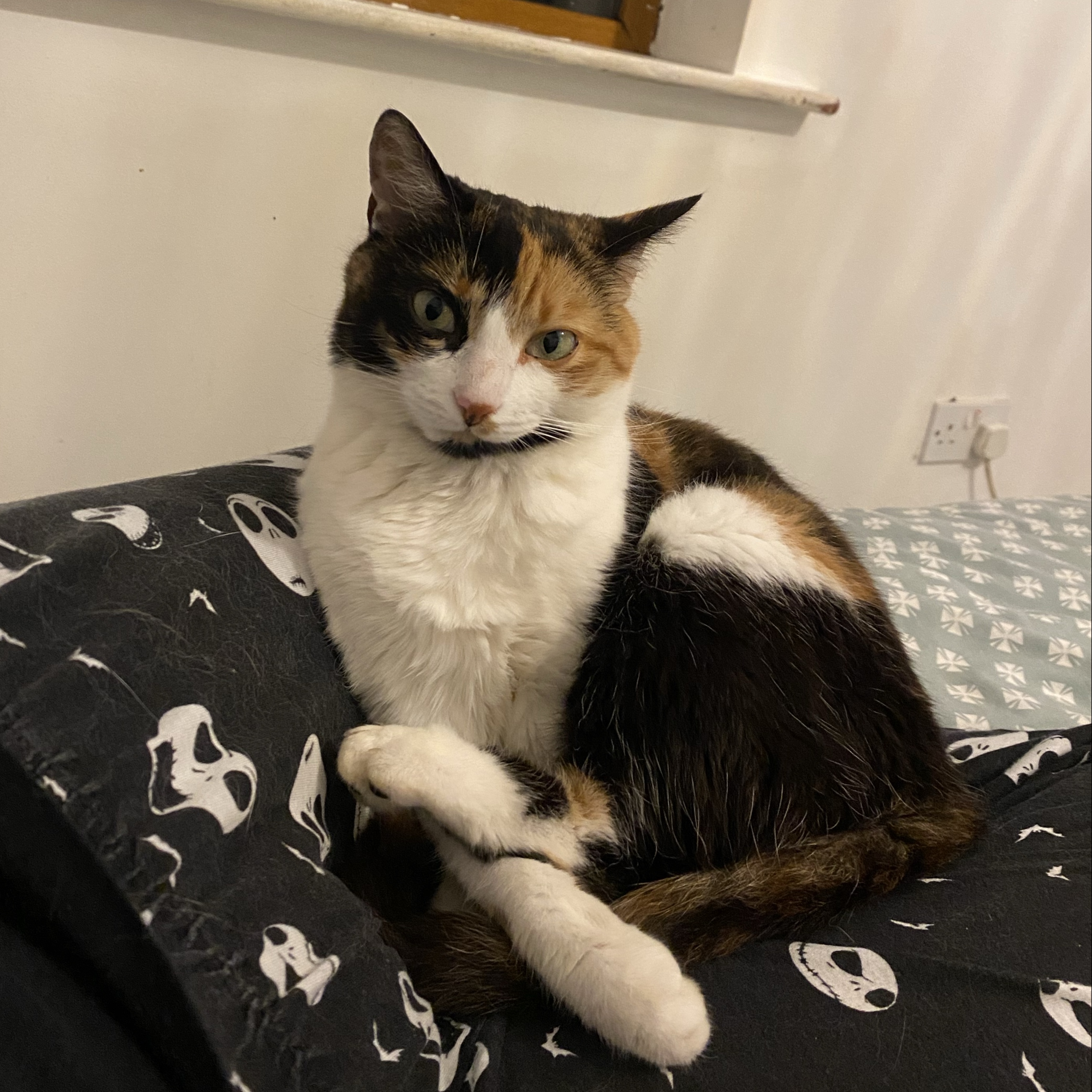 Mia