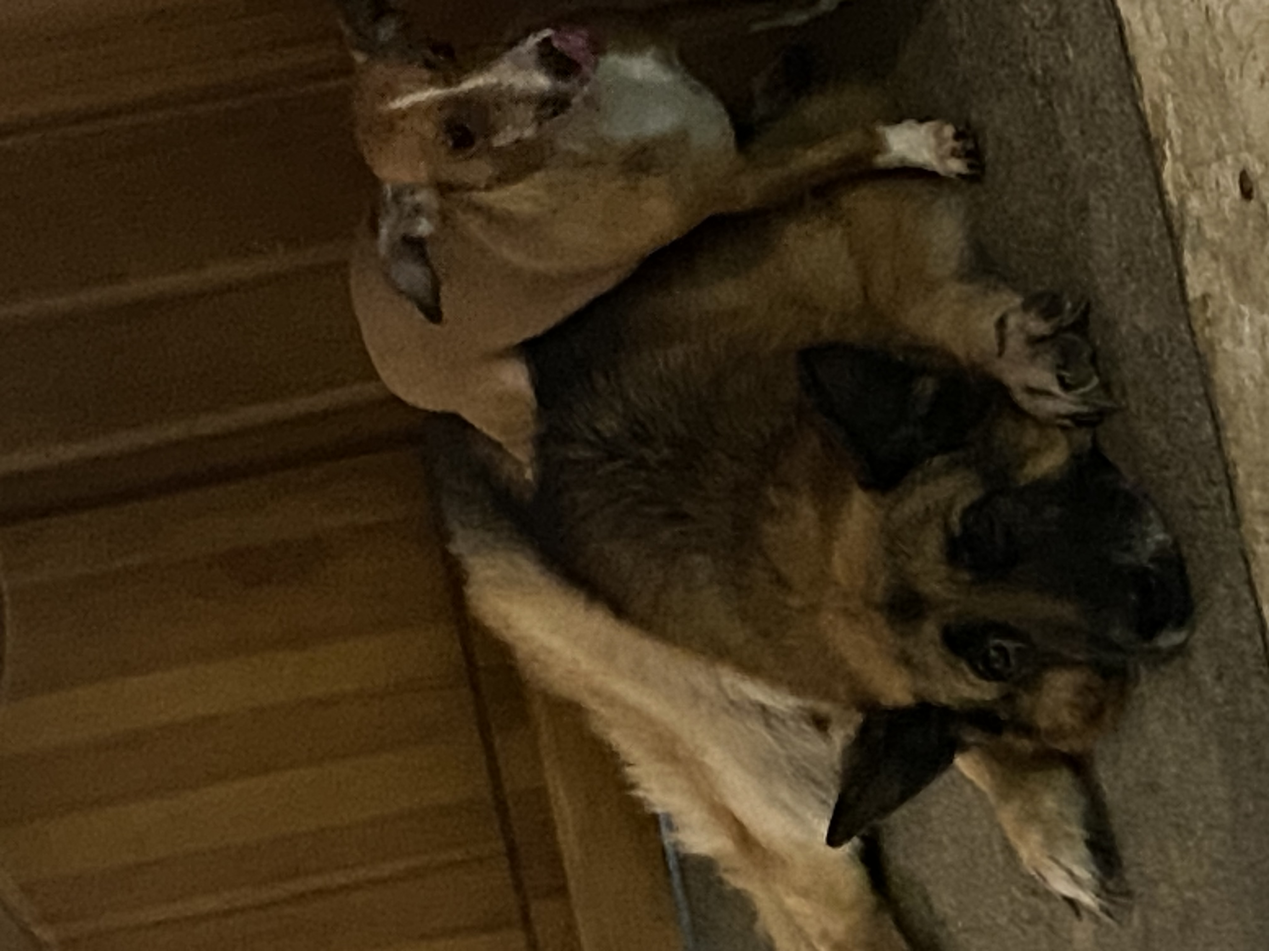 image-5