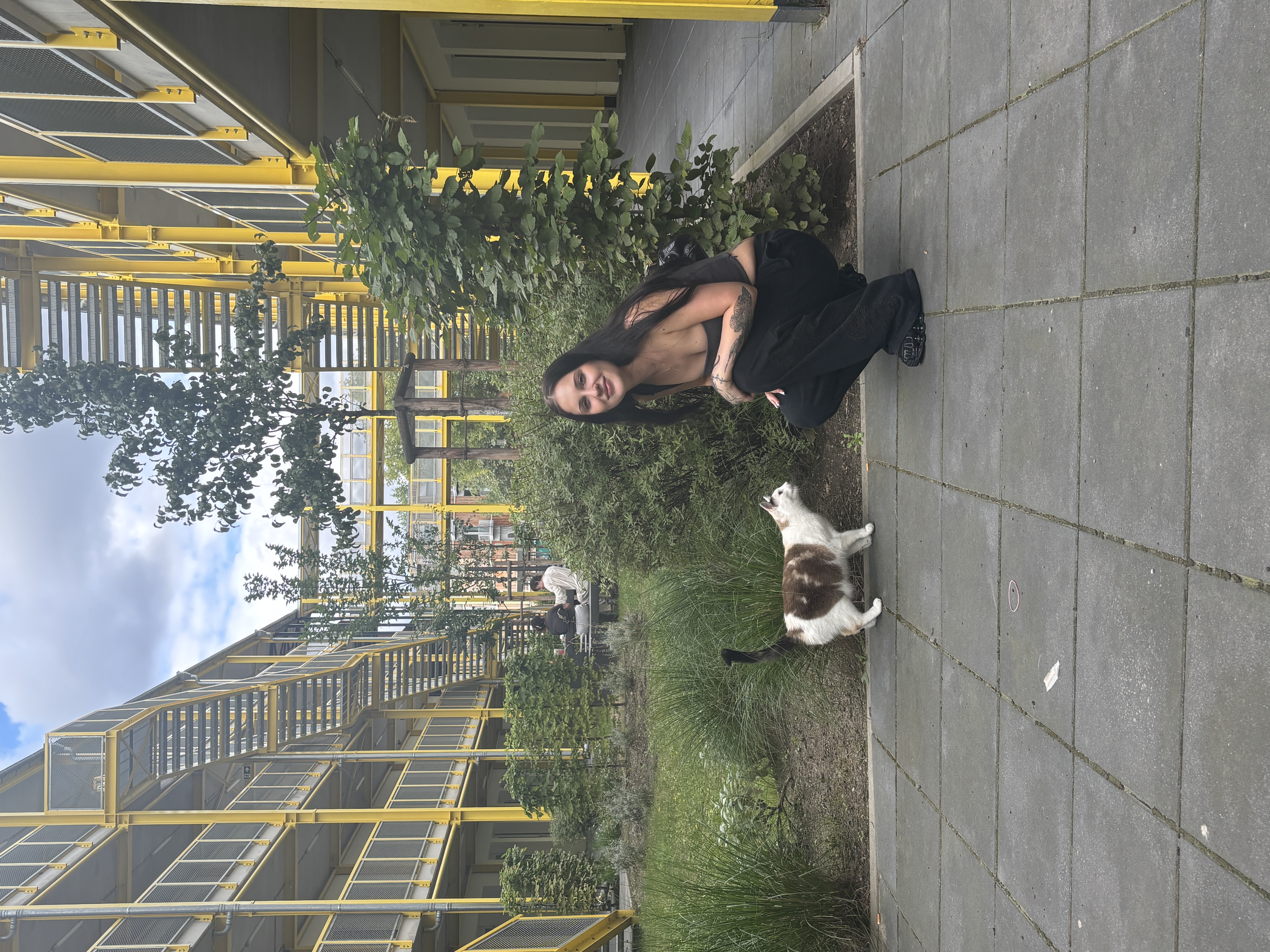 image-6