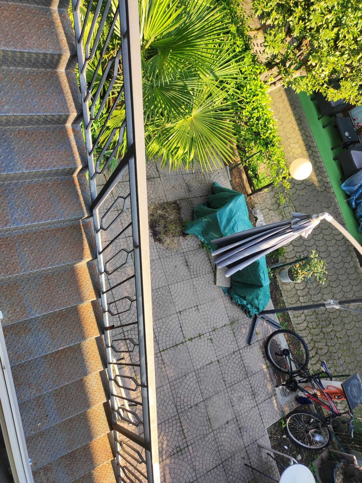 image-11