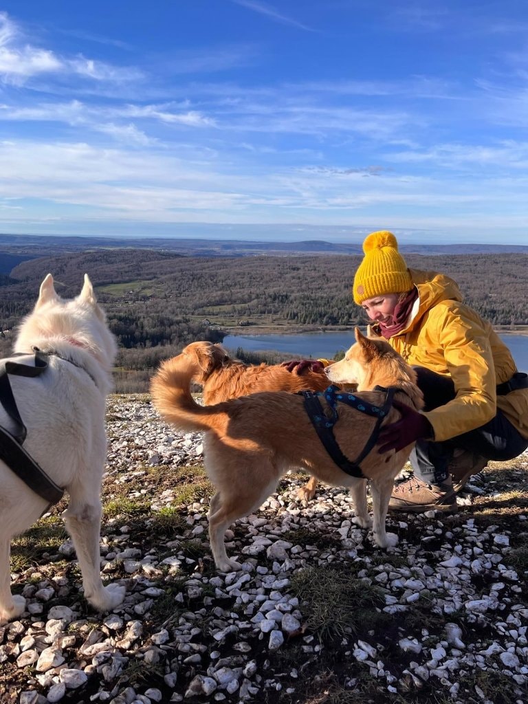 image-9