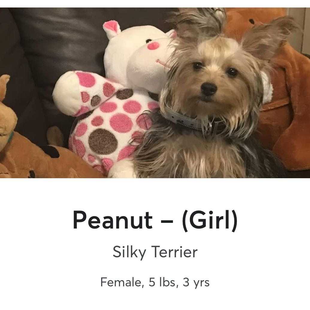 Peanut