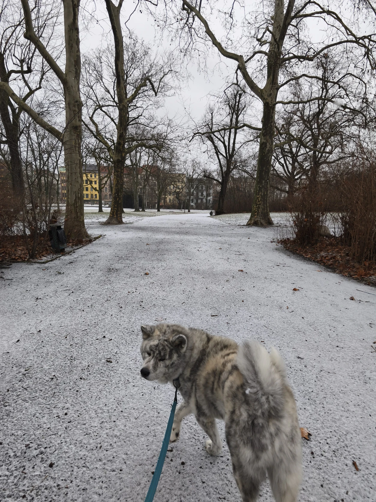 image-17